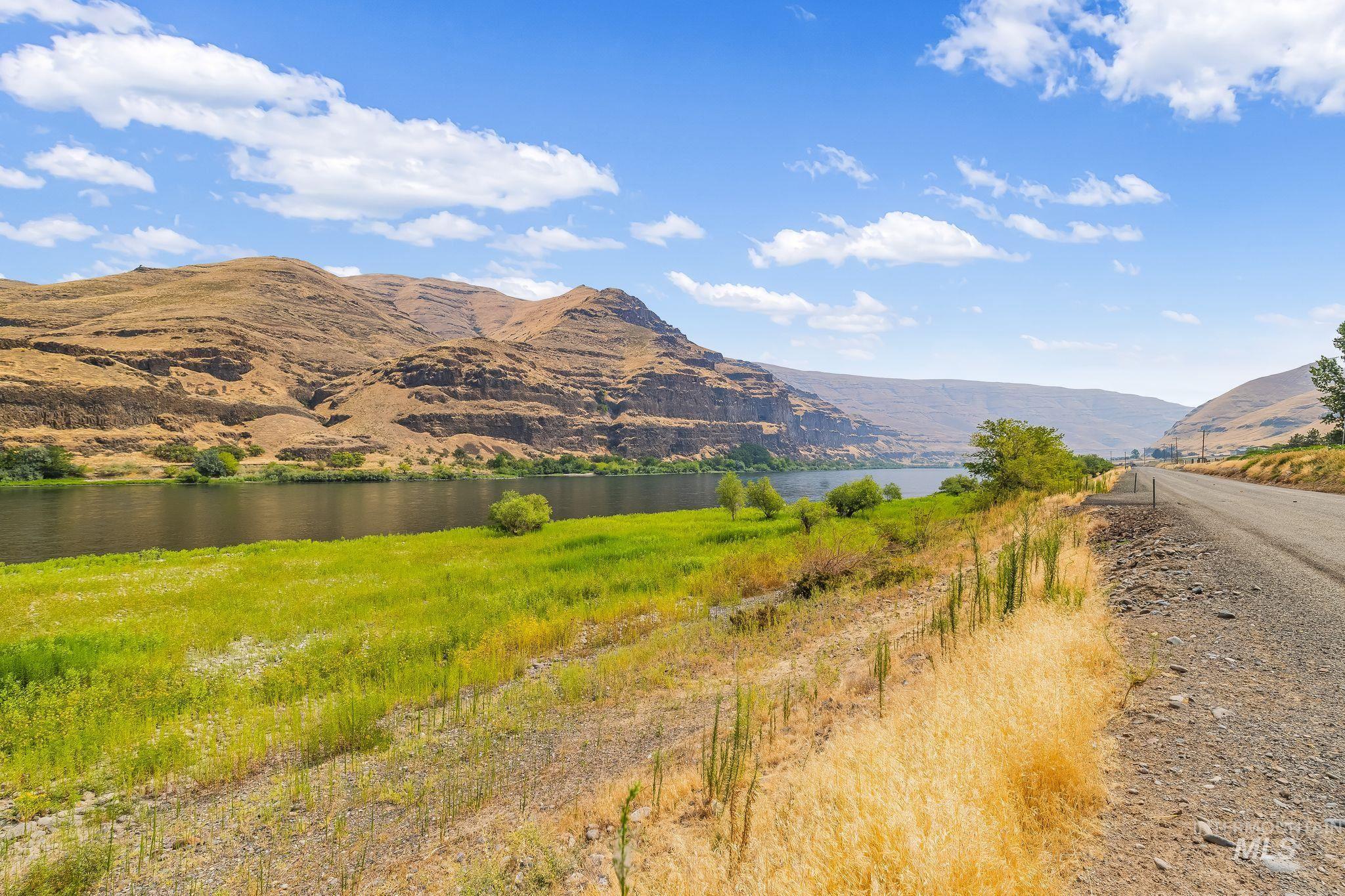 Not Assigned SNAKE RIVER ROAD, Asotin, Washington 99402, Land For Sale, Price $495,000,MLS 98996064