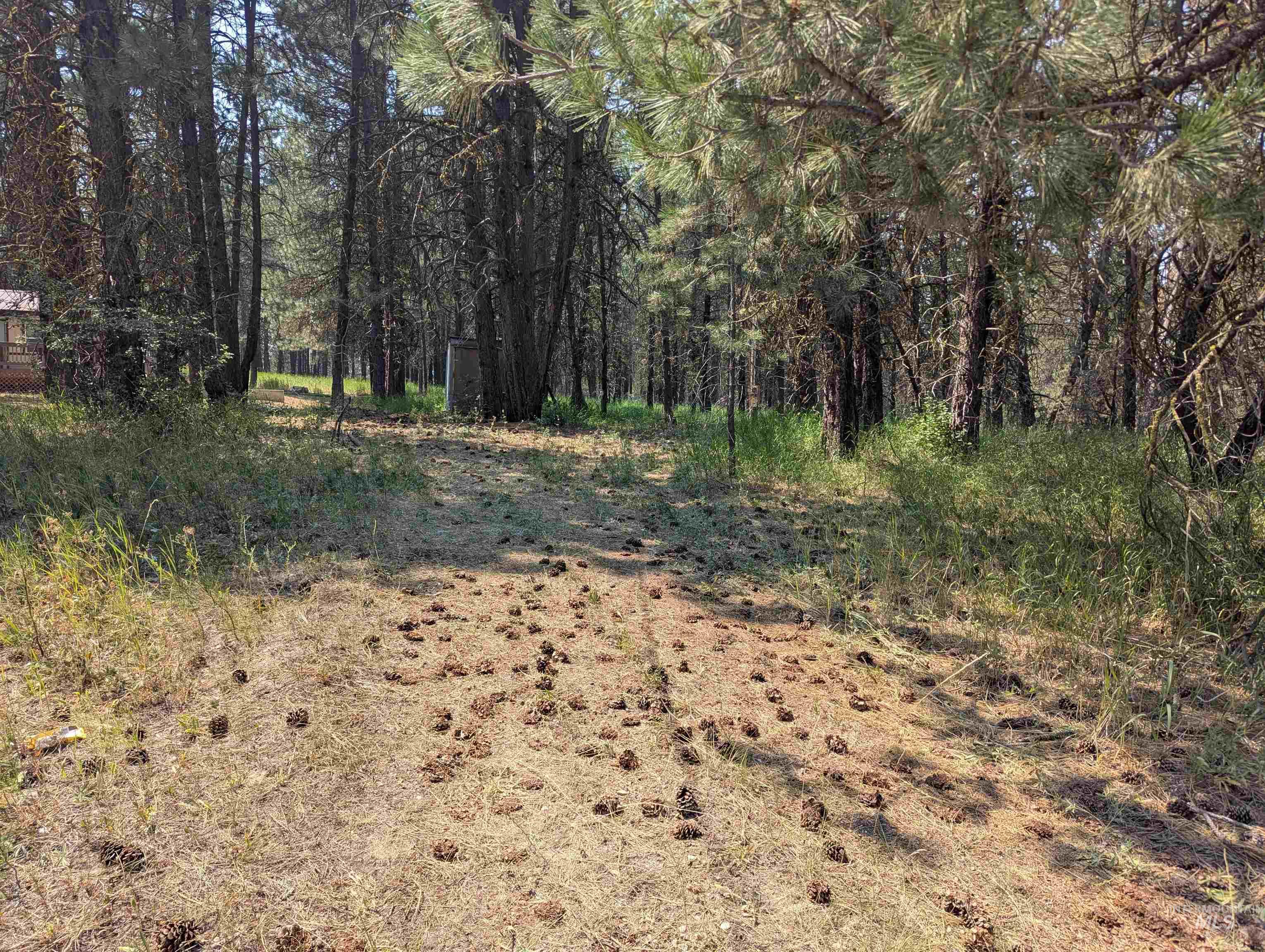 110 E Prospectors Drive, Cascade, Idaho 83611, Land For Sale, Price $150,000, 98996091
