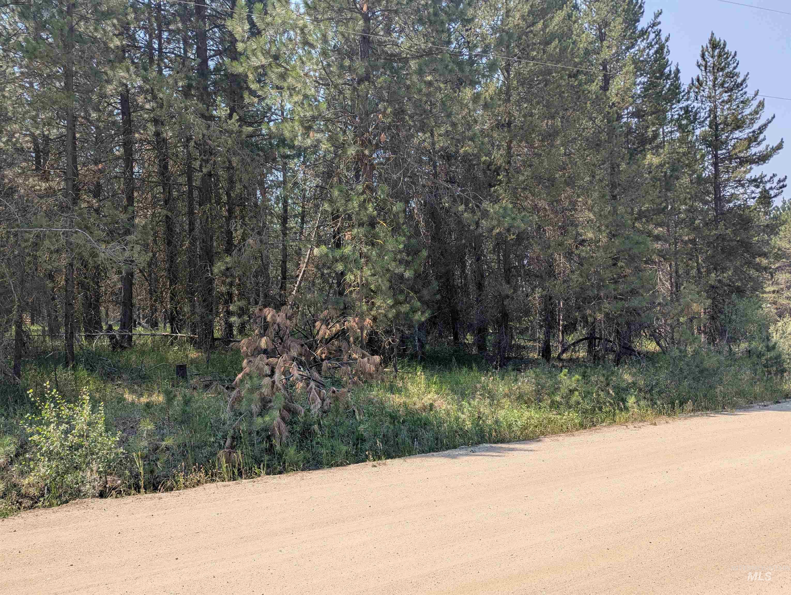 110 E Prospectors Drive, Cascade, Idaho 83611, Land For Sale, Price $150,000, 98996091