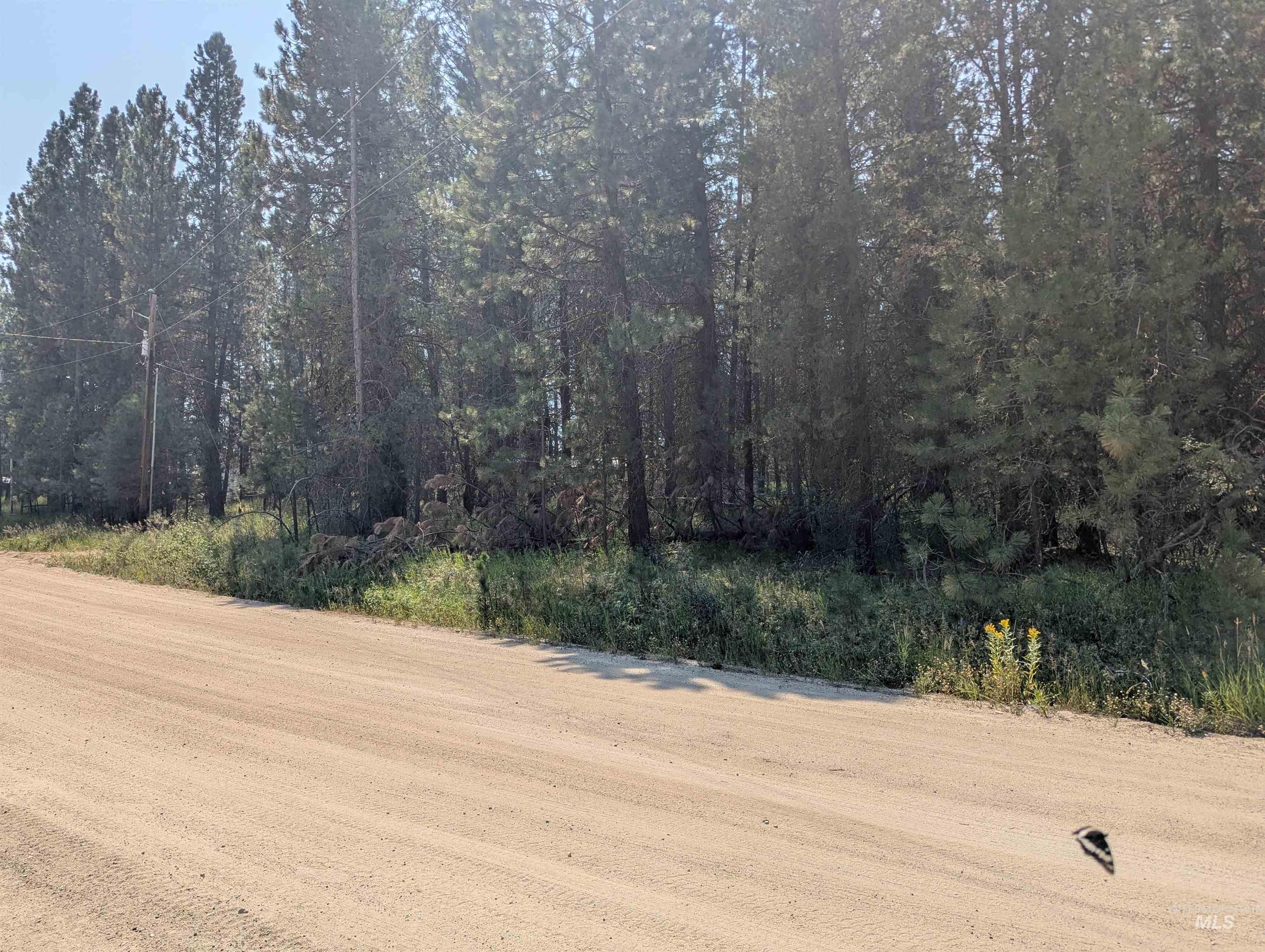110 E Prospectors Drive, Cascade, Idaho 83611, Land For Sale, Price $150,000, 98996091