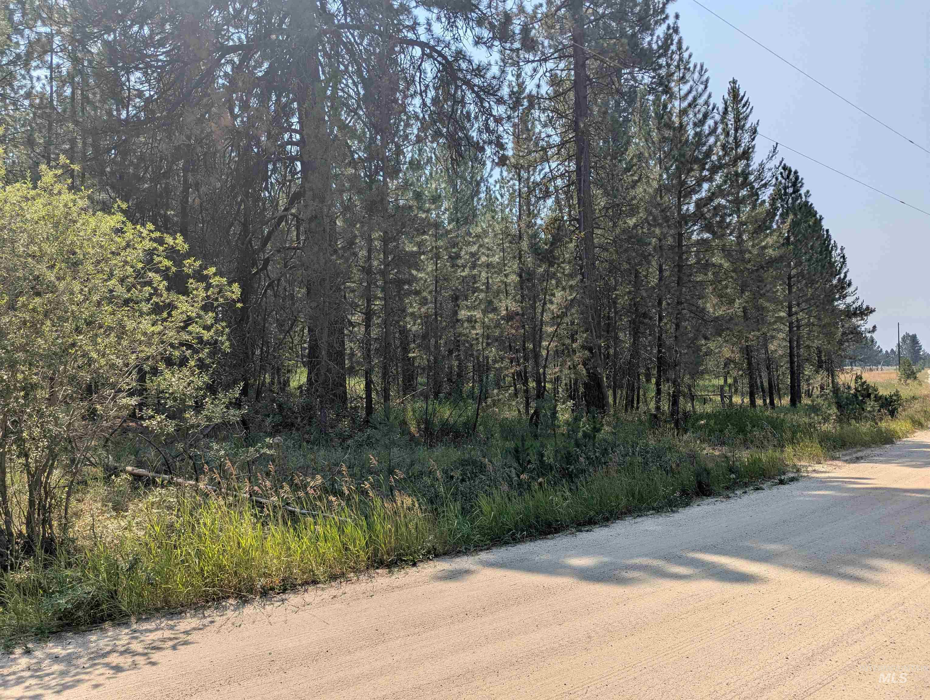 110 E Prospectors Drive, Cascade, Idaho 83611, Land For Sale, Price $150,000, 98996091