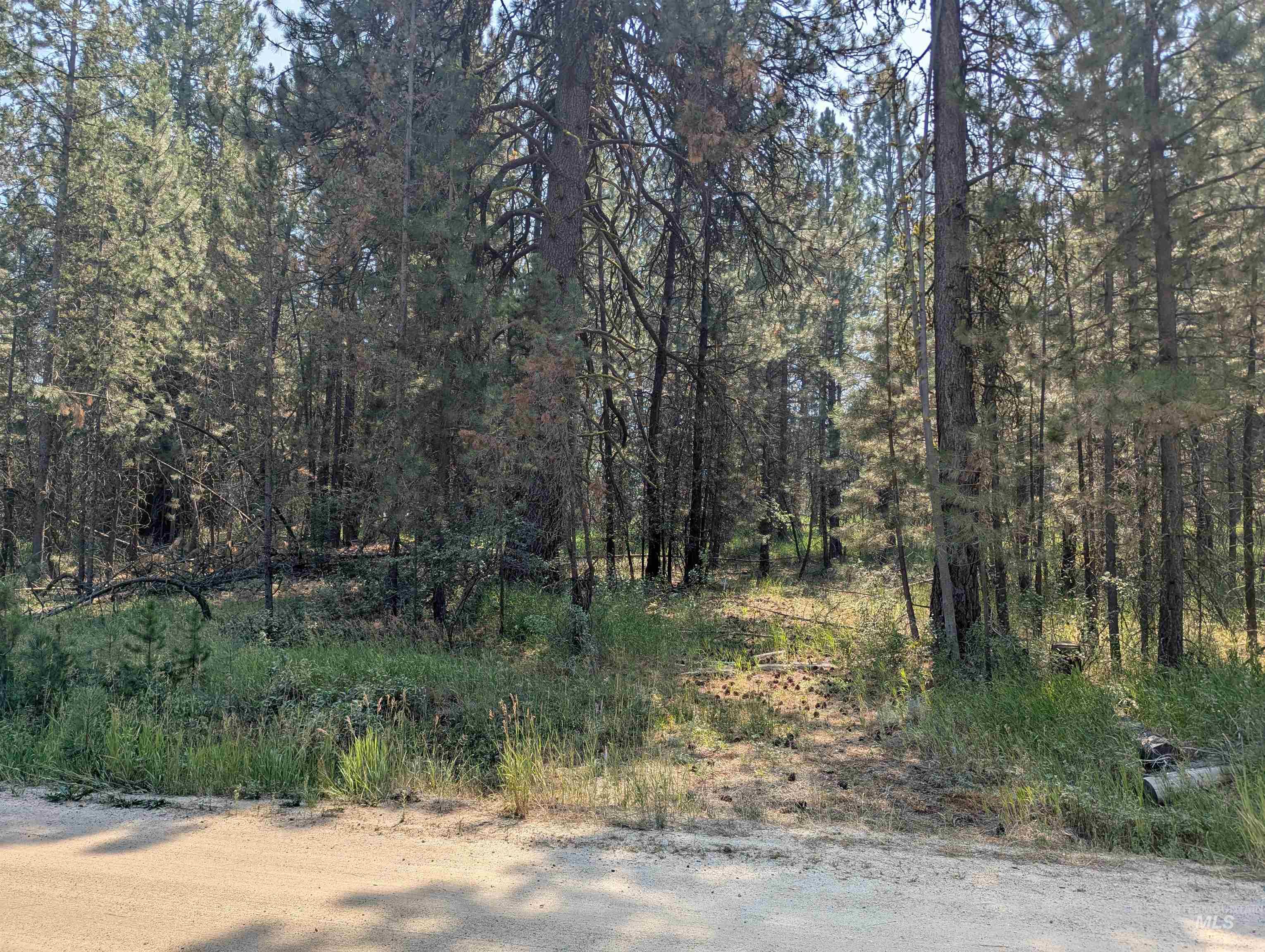110 E Prospectors Drive, Cascade, Idaho 83611, Land For Sale, Price $150,000, 98996091