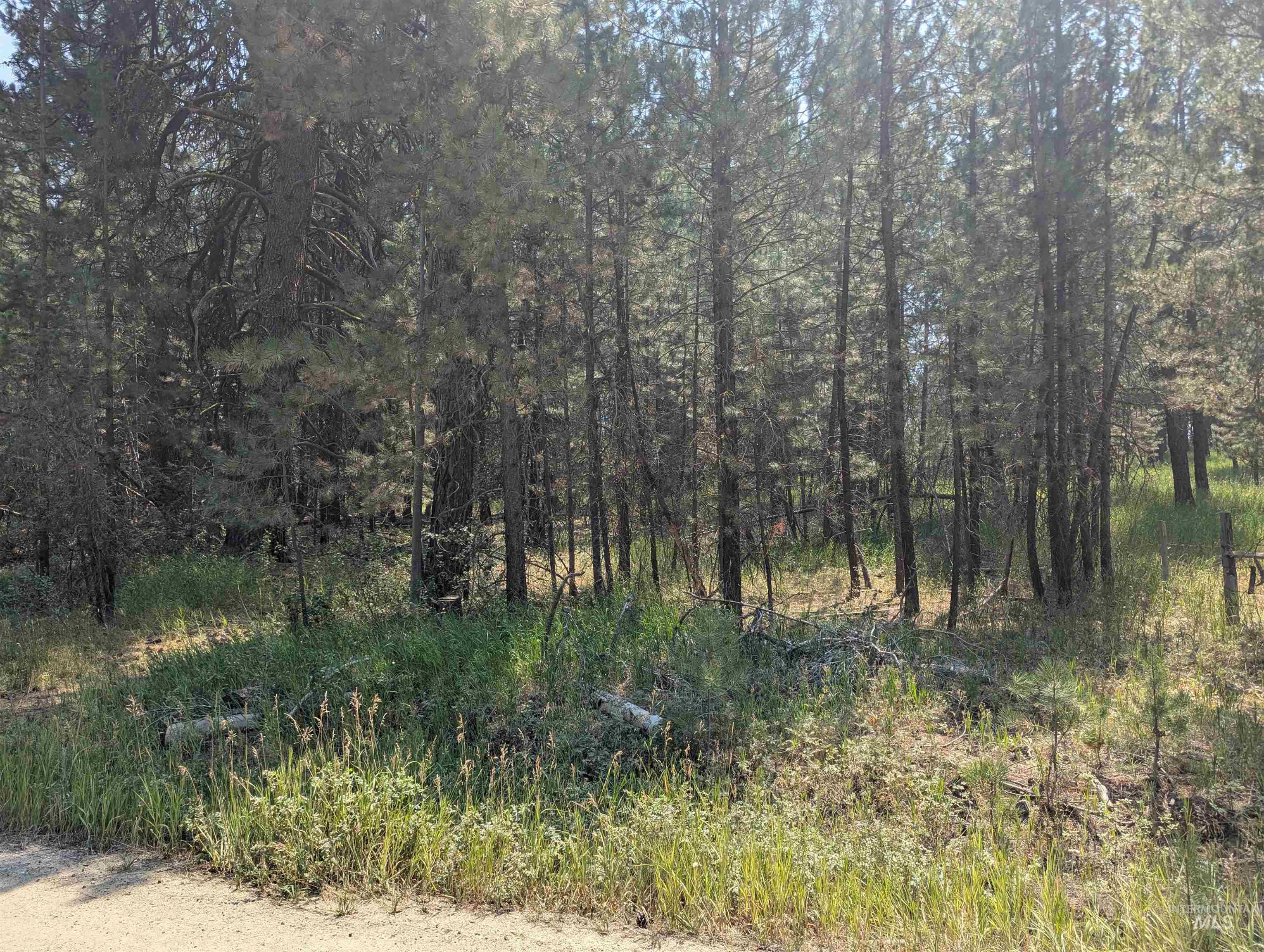 110 E Prospectors Drive, Cascade, Idaho 83611, Land For Sale, Price $150,000, 98996091