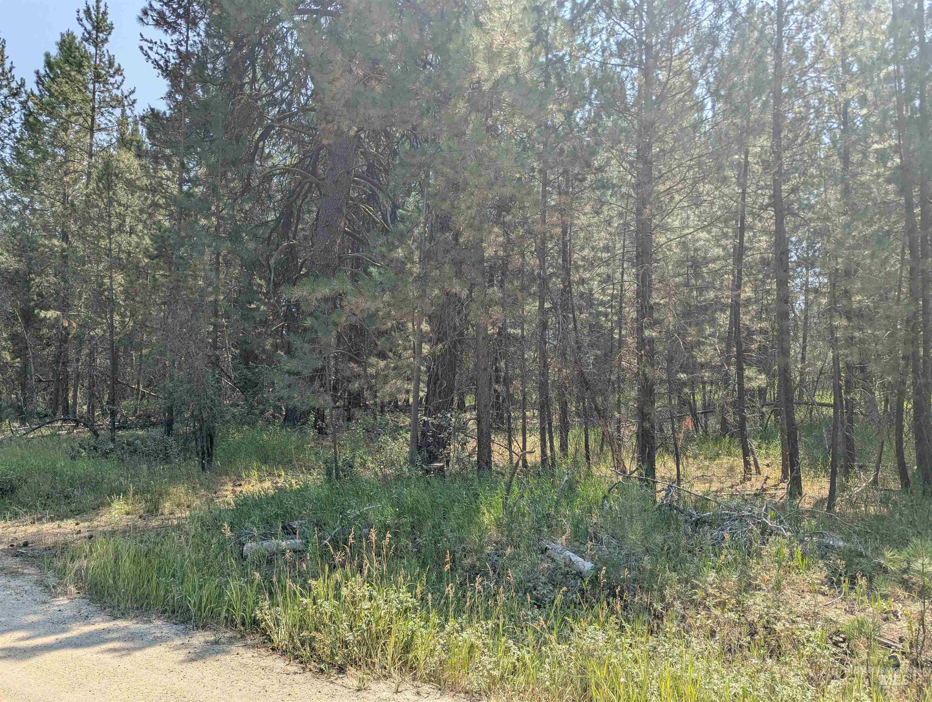 110 E Prospectors Drive, Cascade, Idaho 83611, Land For Sale, Price $150,000, 98996091