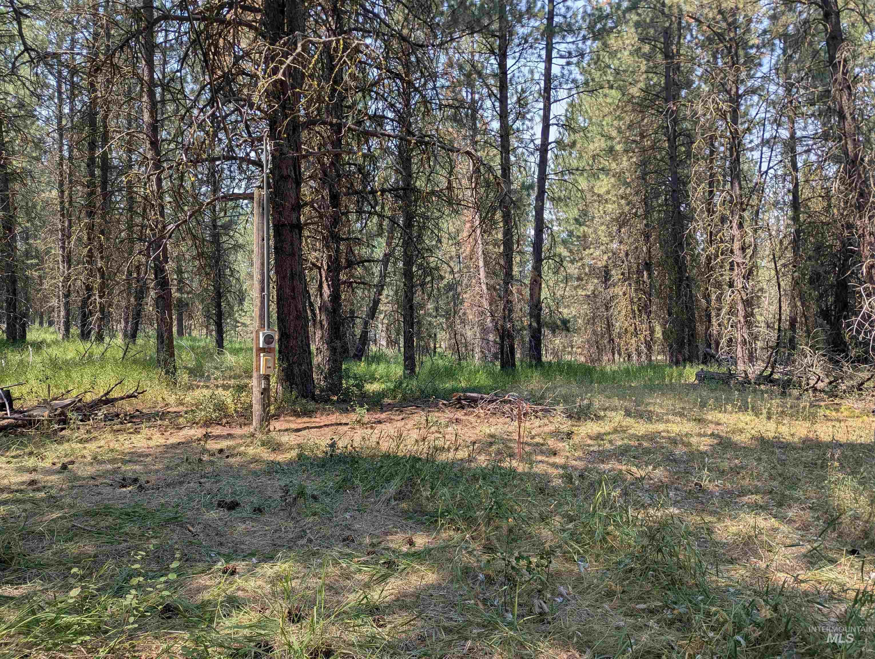110 E Prospectors Drive, Cascade, Idaho 83611, Land For Sale, Price $150,000, 98996091