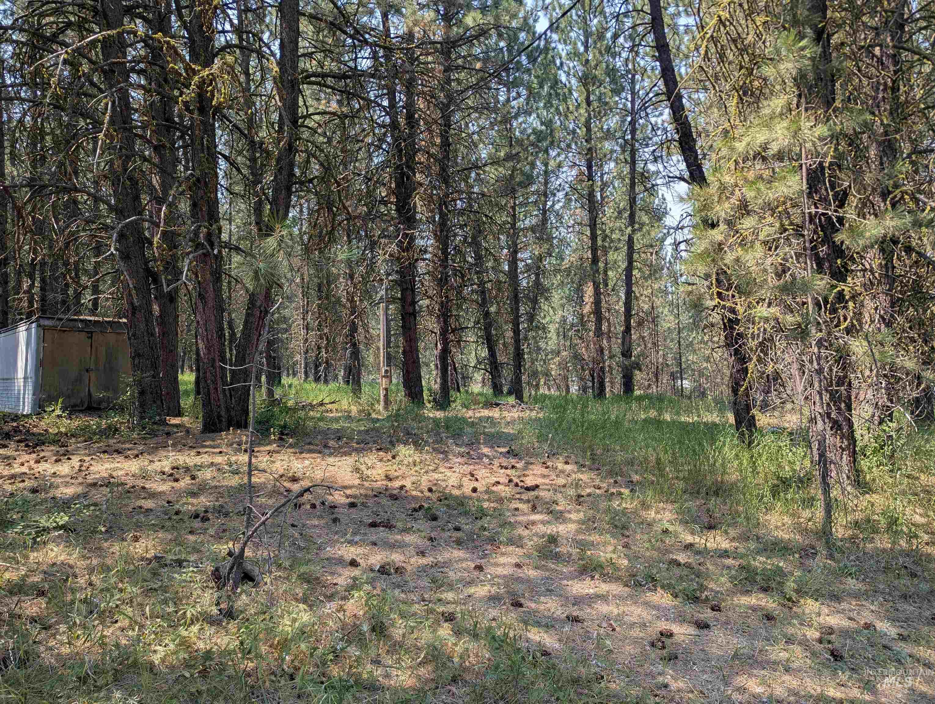 110 E Prospectors Drive, Cascade, Idaho 83611, Land For Sale, Price $150,000, 98996091