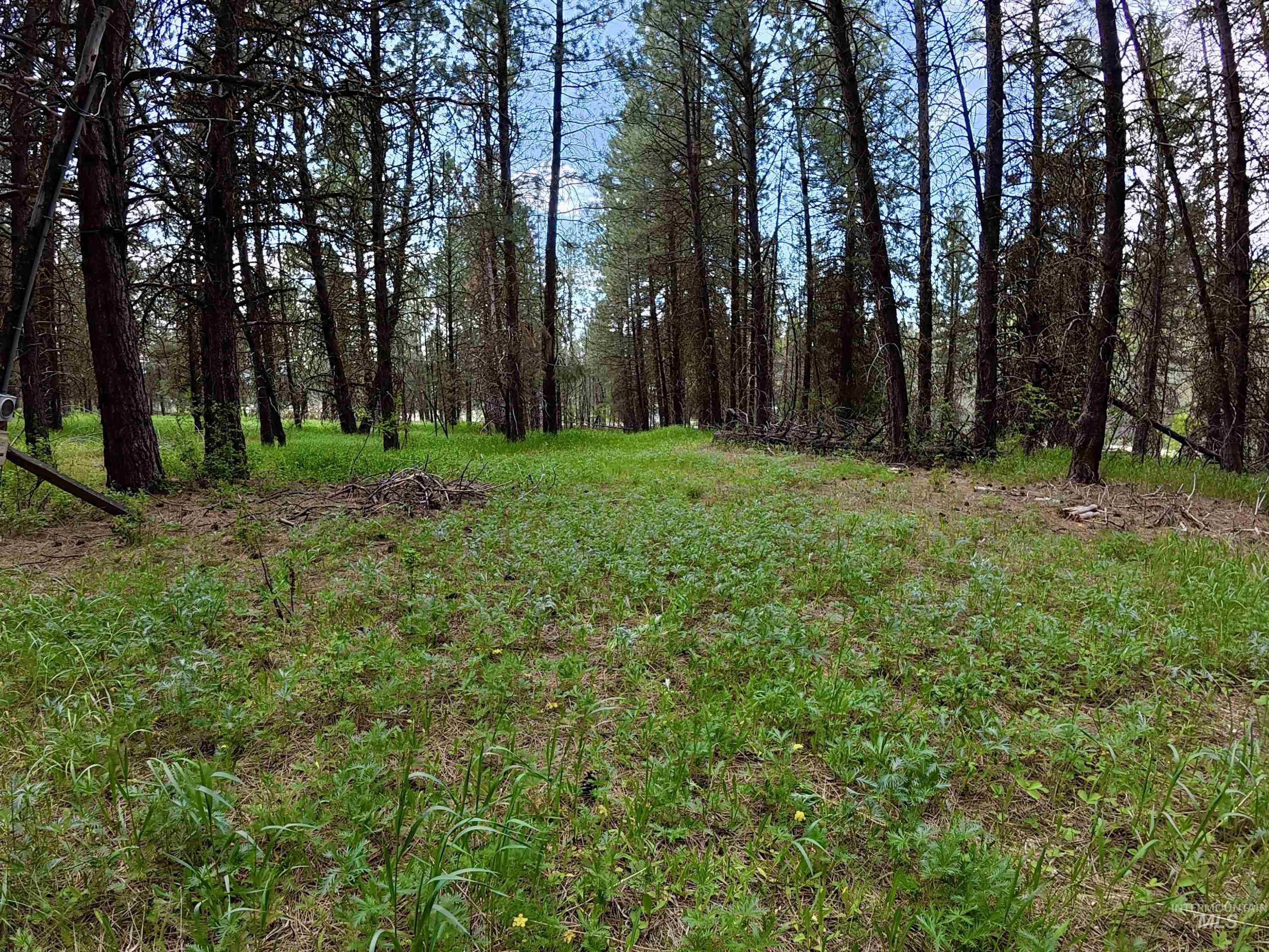 110 E Prospectors Drive, Cascade, Idaho 83611, Land For Sale, Price $150,000, 98996091