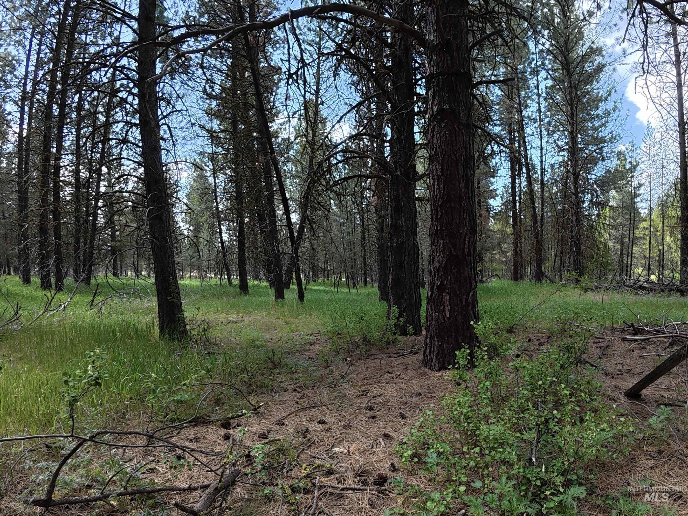 110 E Prospectors Drive, Cascade, Idaho 83611, Land For Sale, Price $150,000, 98996091