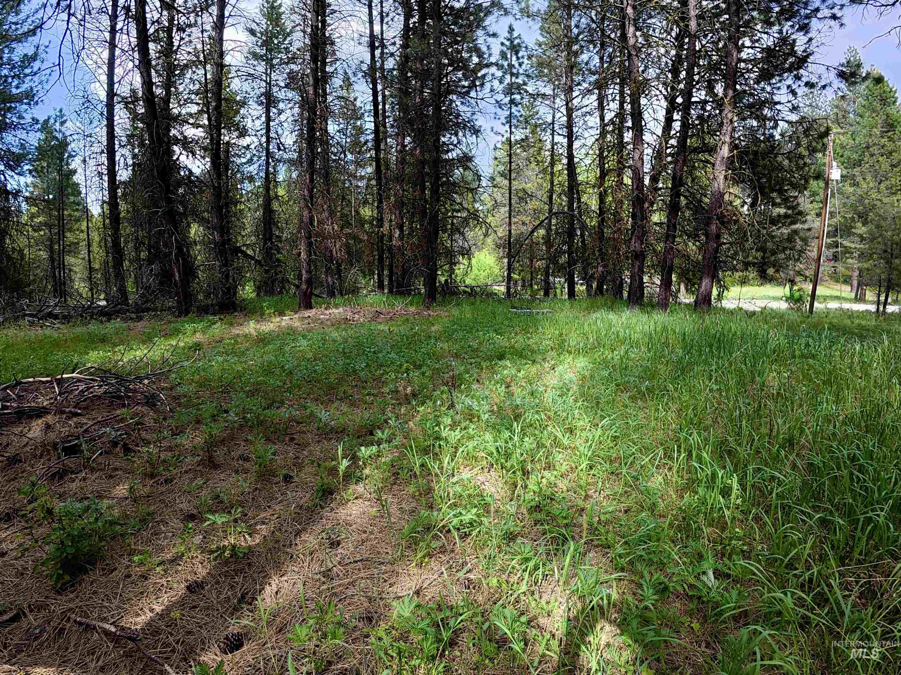 110 E Prospectors Drive, Cascade, Idaho 83611, Land For Sale, Price $150,000, 98996091