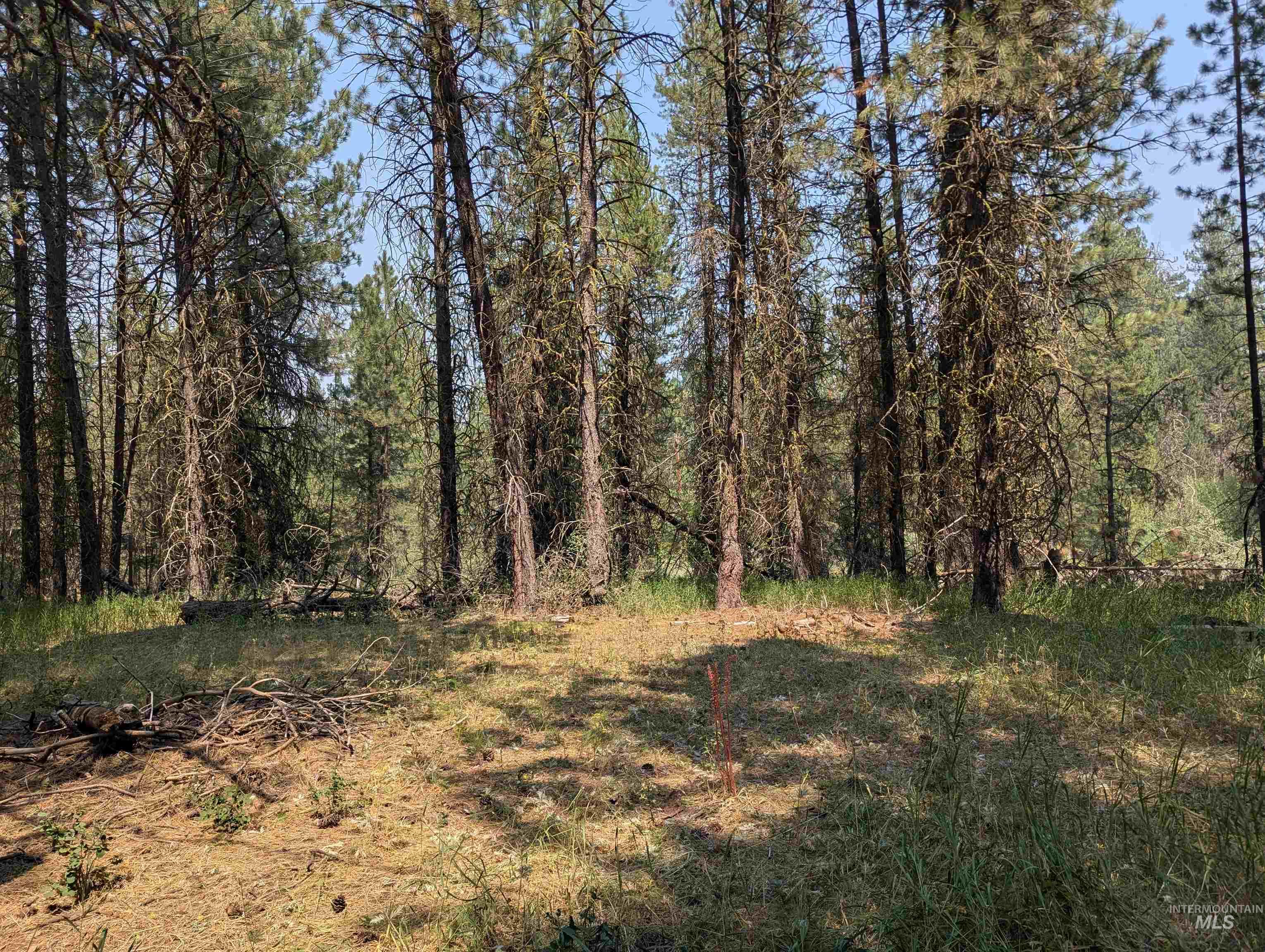 110 E Prospectors Drive, Cascade, Idaho 83611, Land For Sale, Price $150,000, 98996091