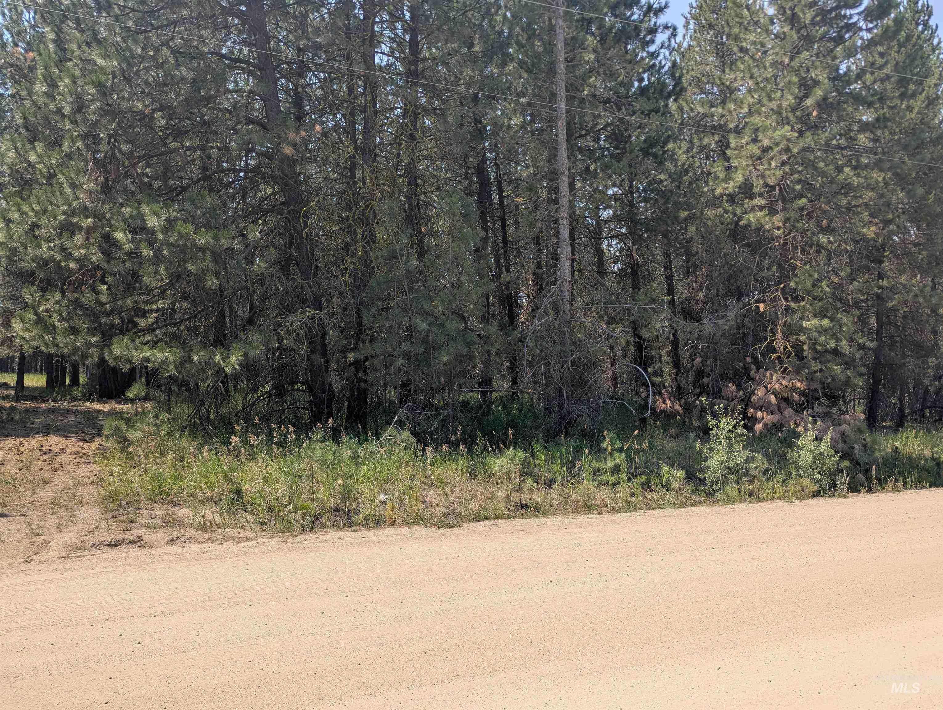110 E Prospectors Drive, Cascade, Idaho 83611, Land For Sale, Price $150,000, 98996091