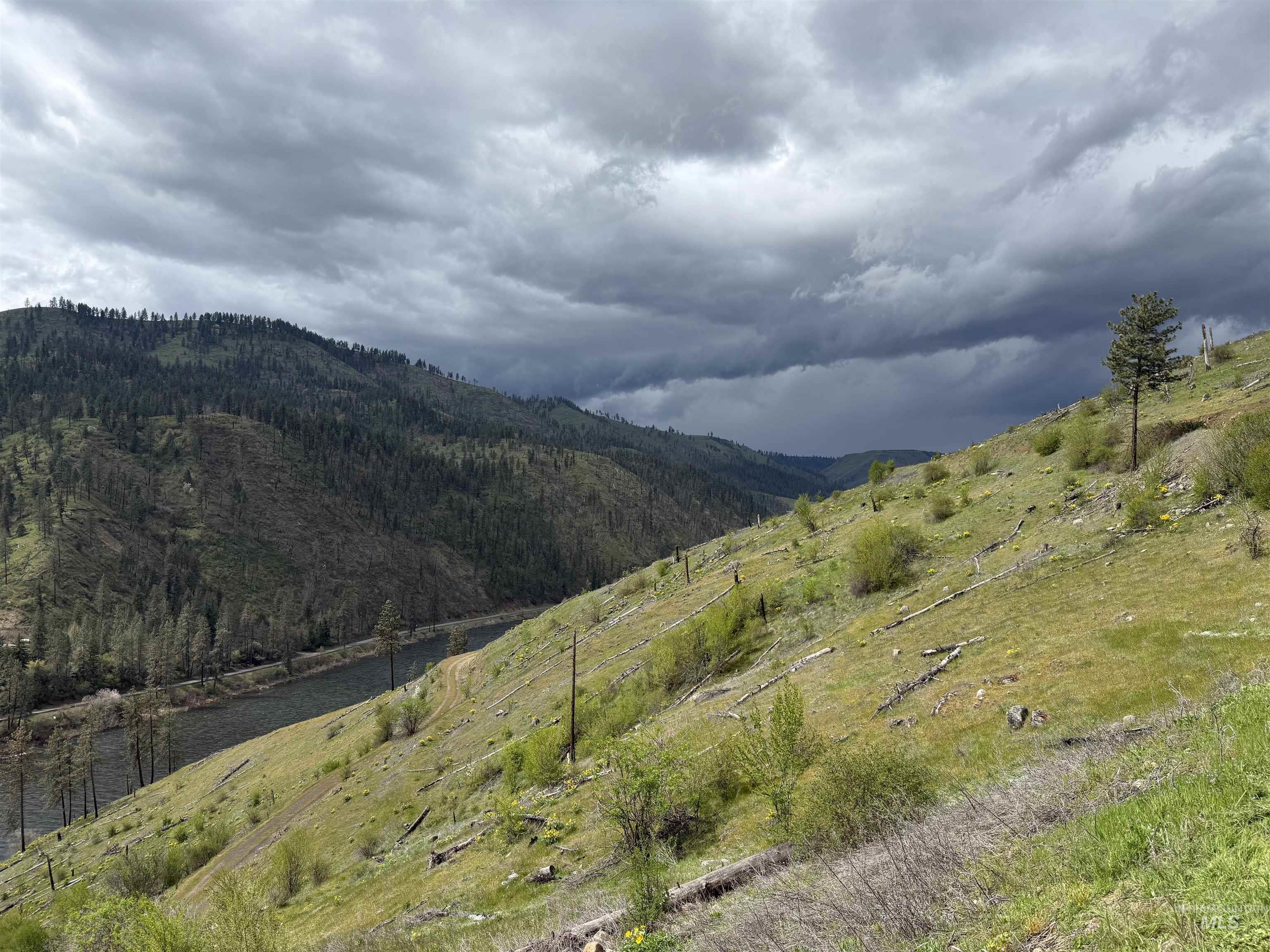 310 Cougar Road, Kamiah, Idaho 83536, Land For Sale, Price $249,500,MLS 98996101