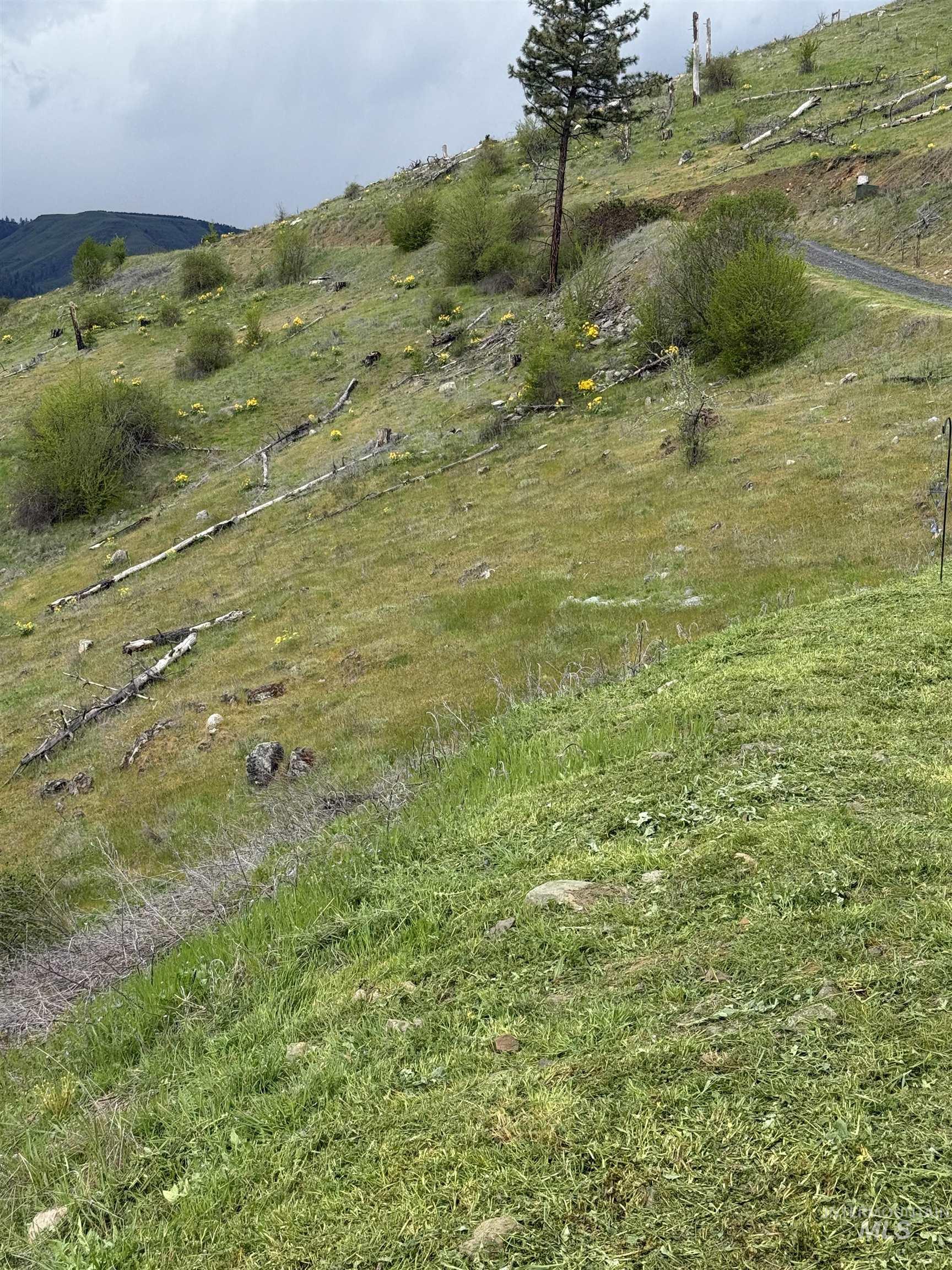 310 Cougar Road, Kamiah, Idaho 83536, Land For Sale, Price $249,500,MLS 98996101