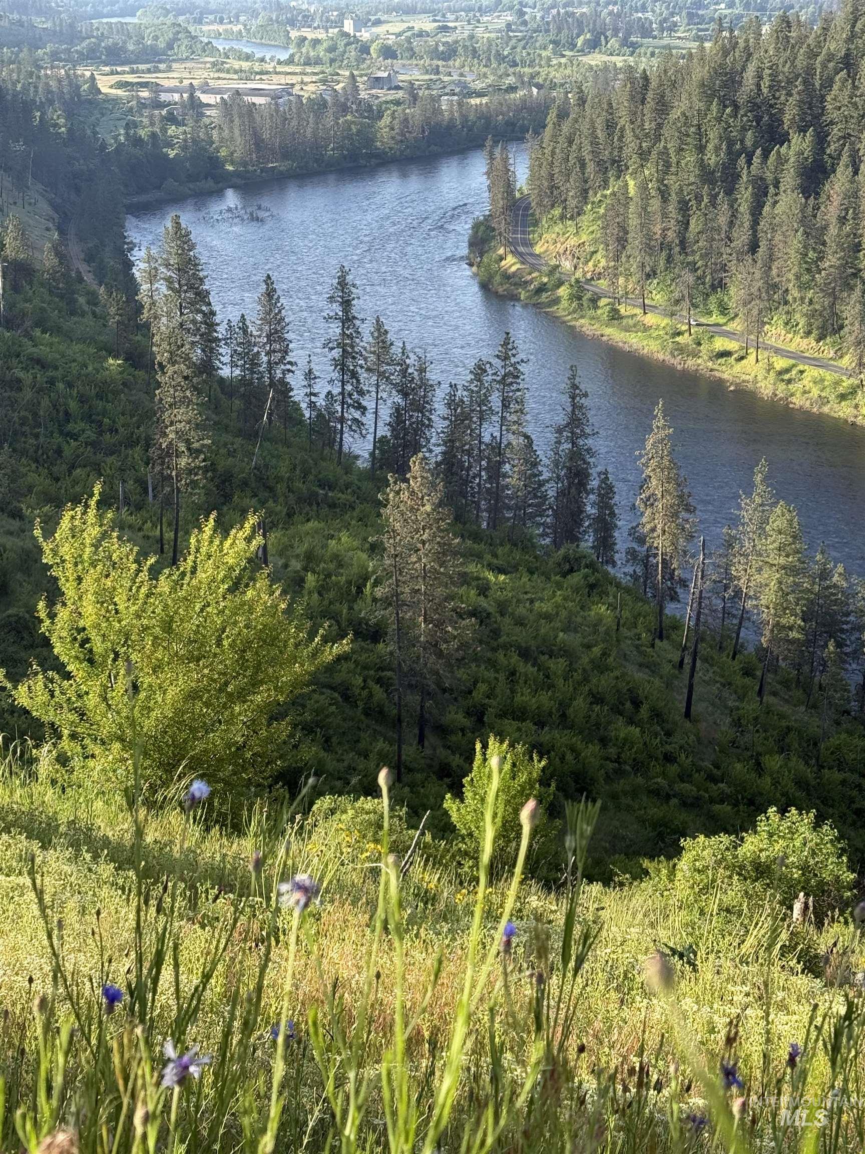 310 Cougar Road, Kamiah, Idaho 83536, Land For Sale, Price $249,500,MLS 98996101