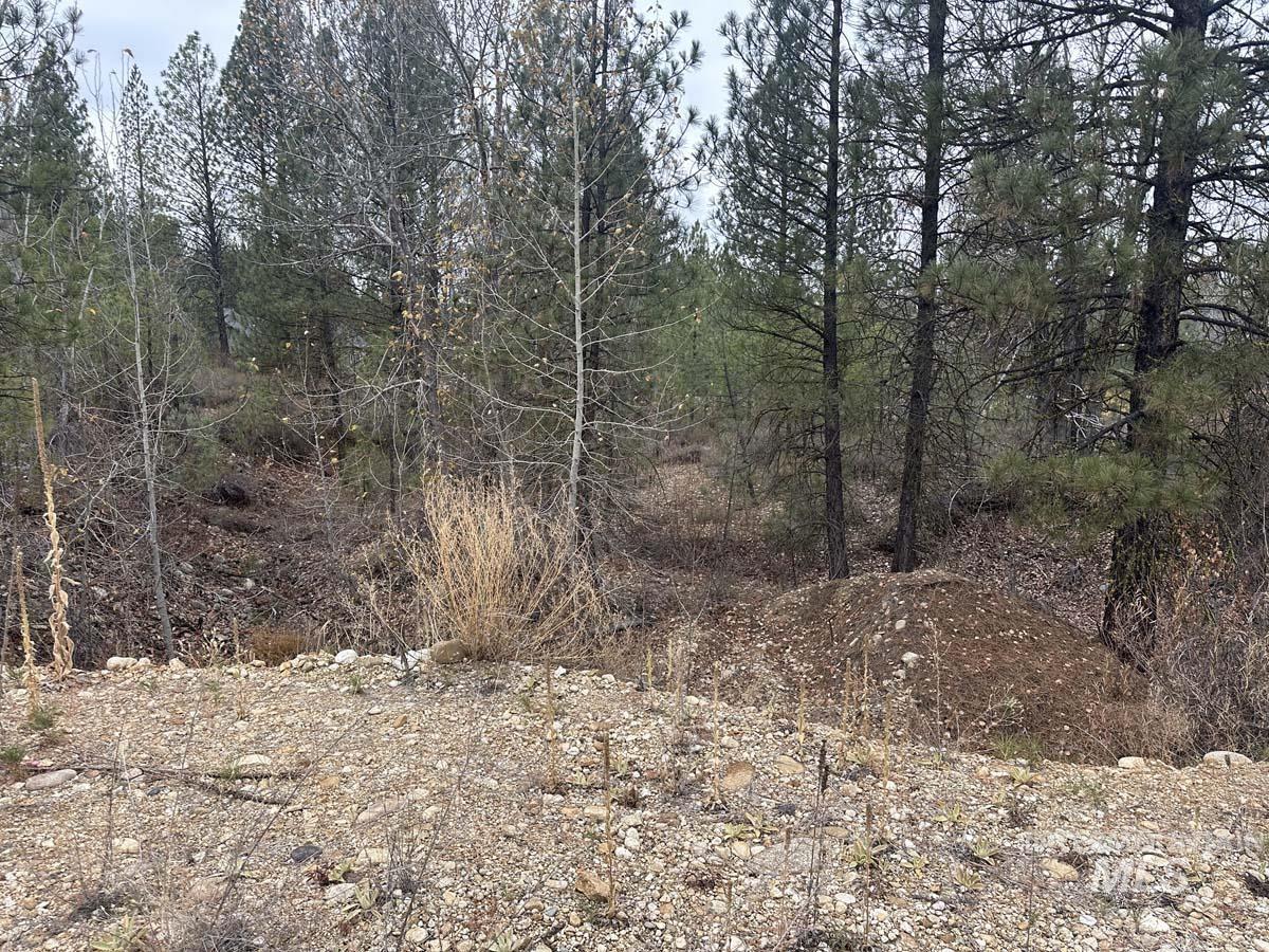 L51 Lily Loop, Idaho City, Idaho 83631, Land For Sale, Price $70,000, 98996269