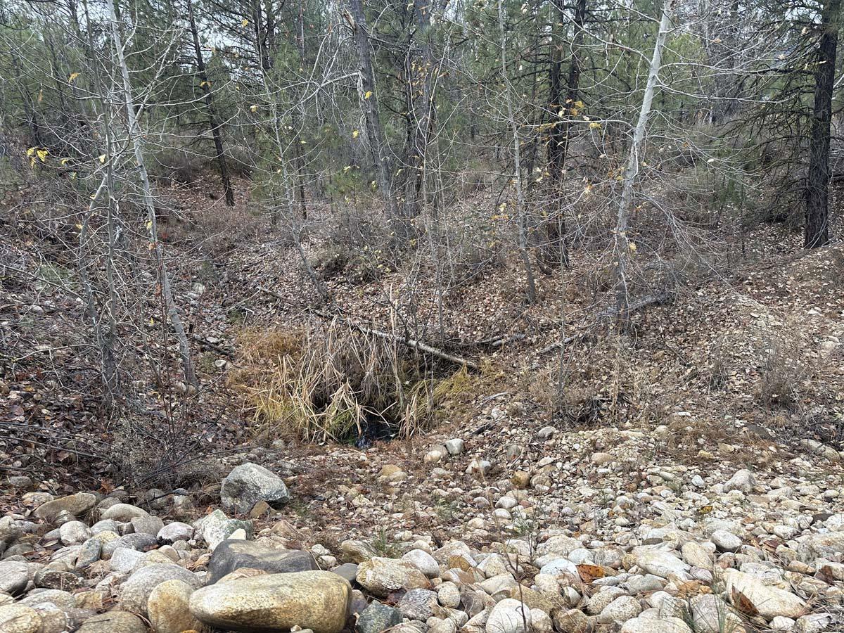 L51 Lily Loop, Idaho City, Idaho 83631, Land For Sale, Price $70,000, 98996269
