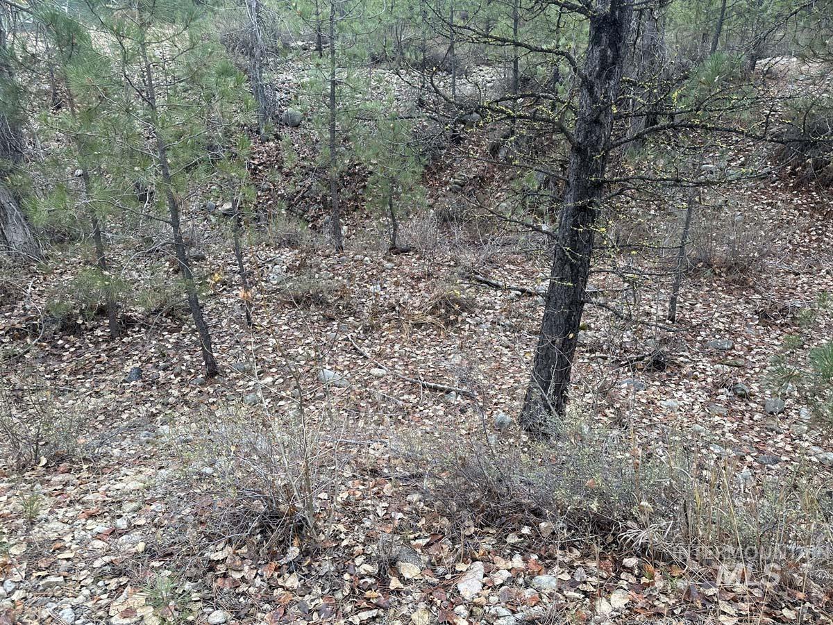 L51 Lily Loop, Idaho City, Idaho 83631, Land For Sale, Price $70,000, 98996269