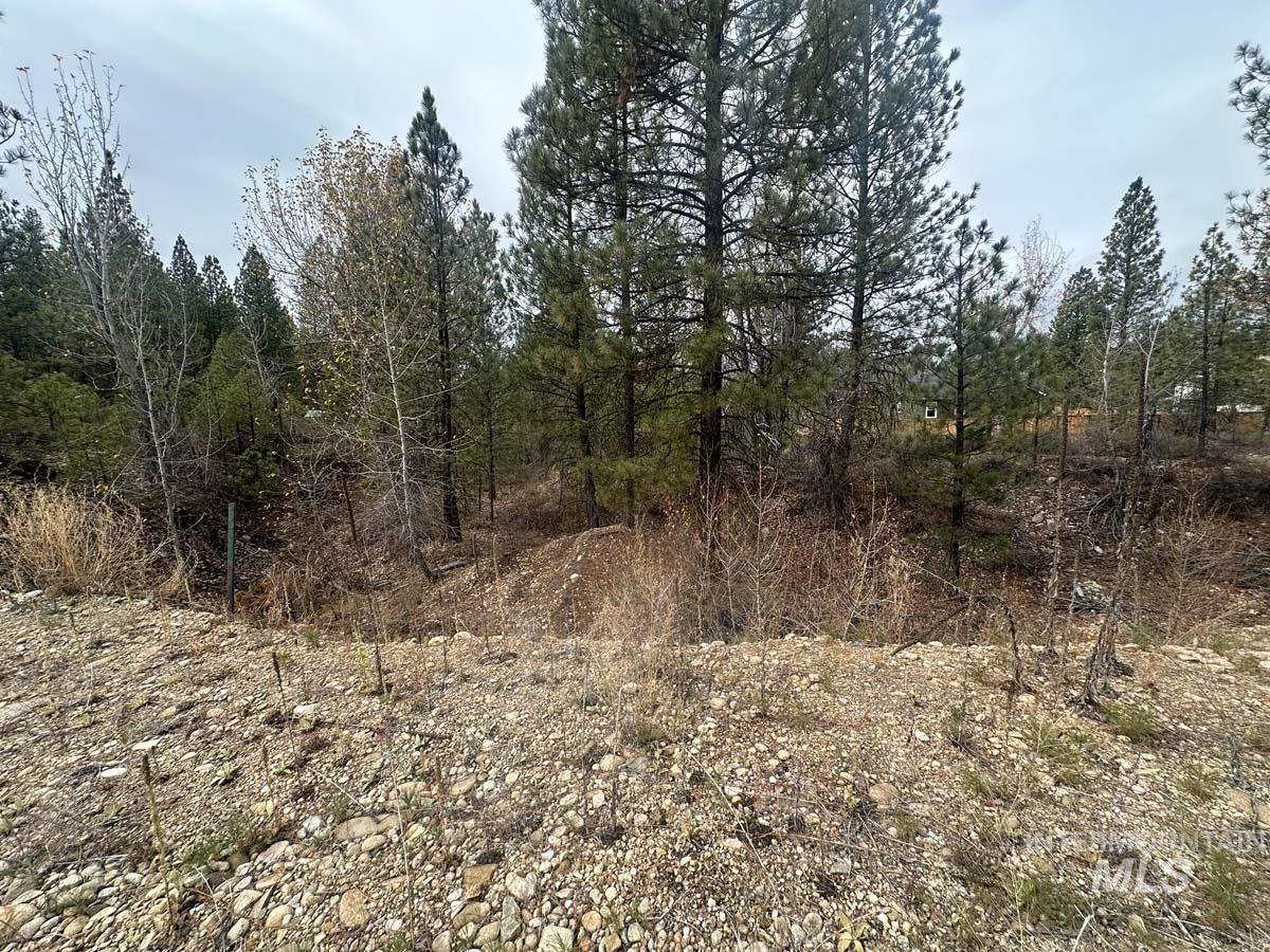 L51 Lily Loop, Idaho City, Idaho 83631, Land For Sale, Price $70,000, 98996269
