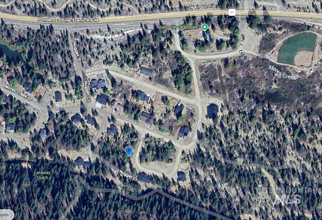 L51 Lily Loop, Idaho City, Idaho 83631, Land For Sale, Price $70,000, 98996269