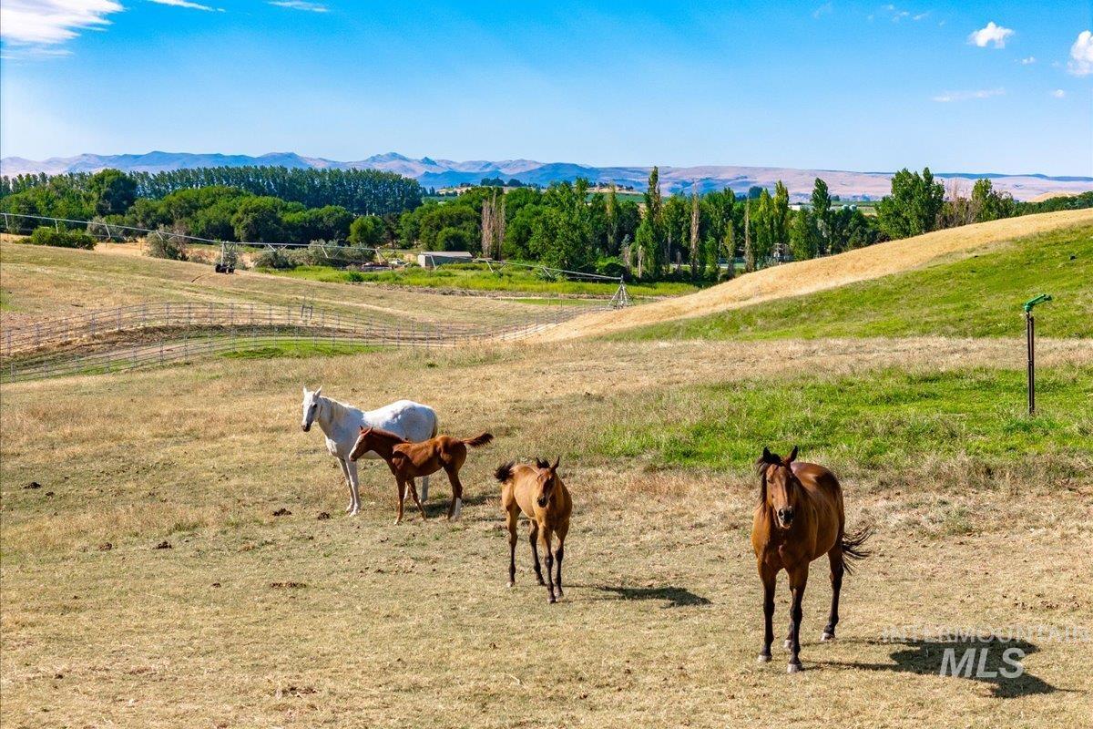 20383 Maggard Ln, Caldwell, Idaho 83607, Land For Sale, Price $750,000, 98996275
