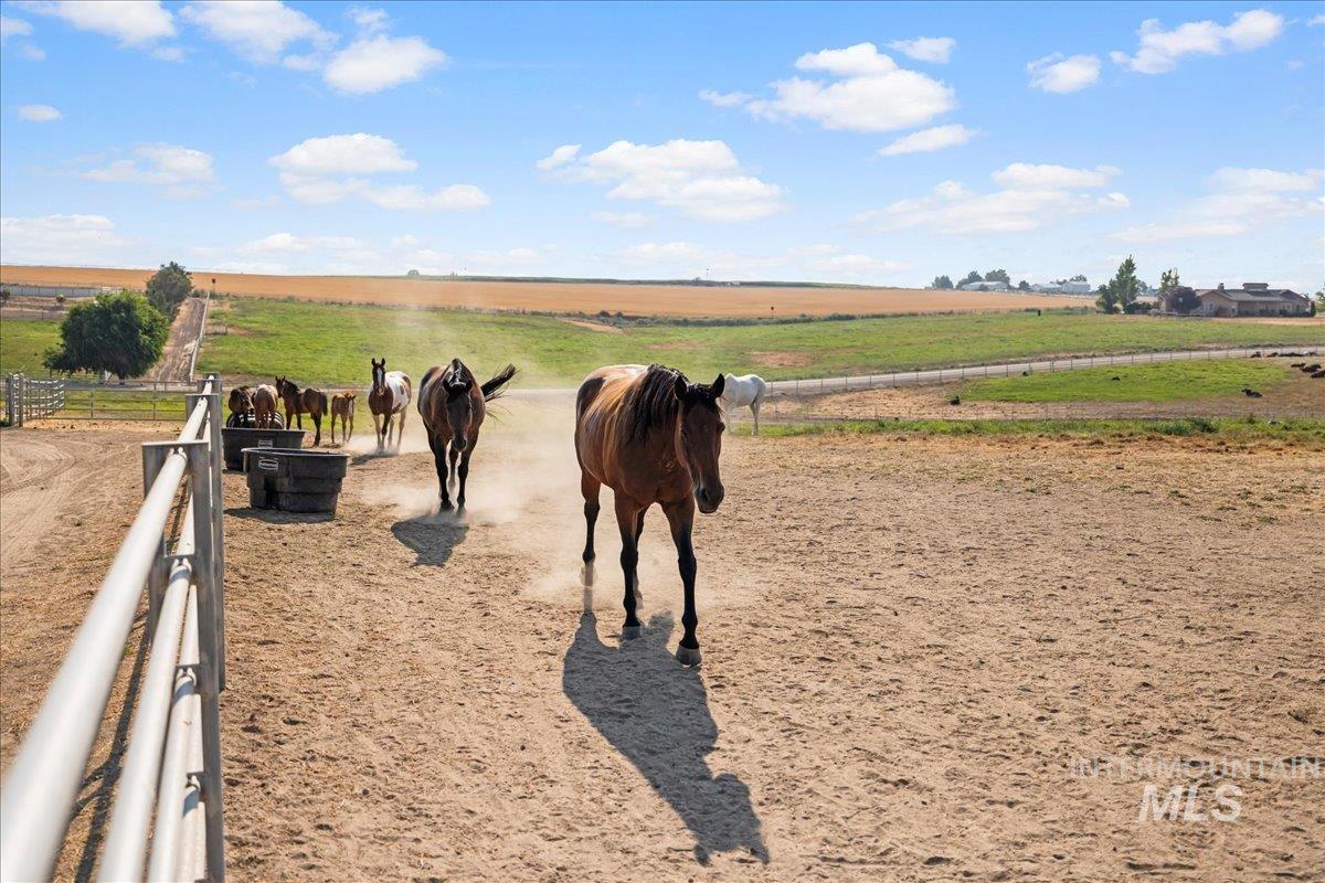 20383 Maggard Ln, Caldwell, Idaho 83607, Land For Sale, Price $750,000, 98996275