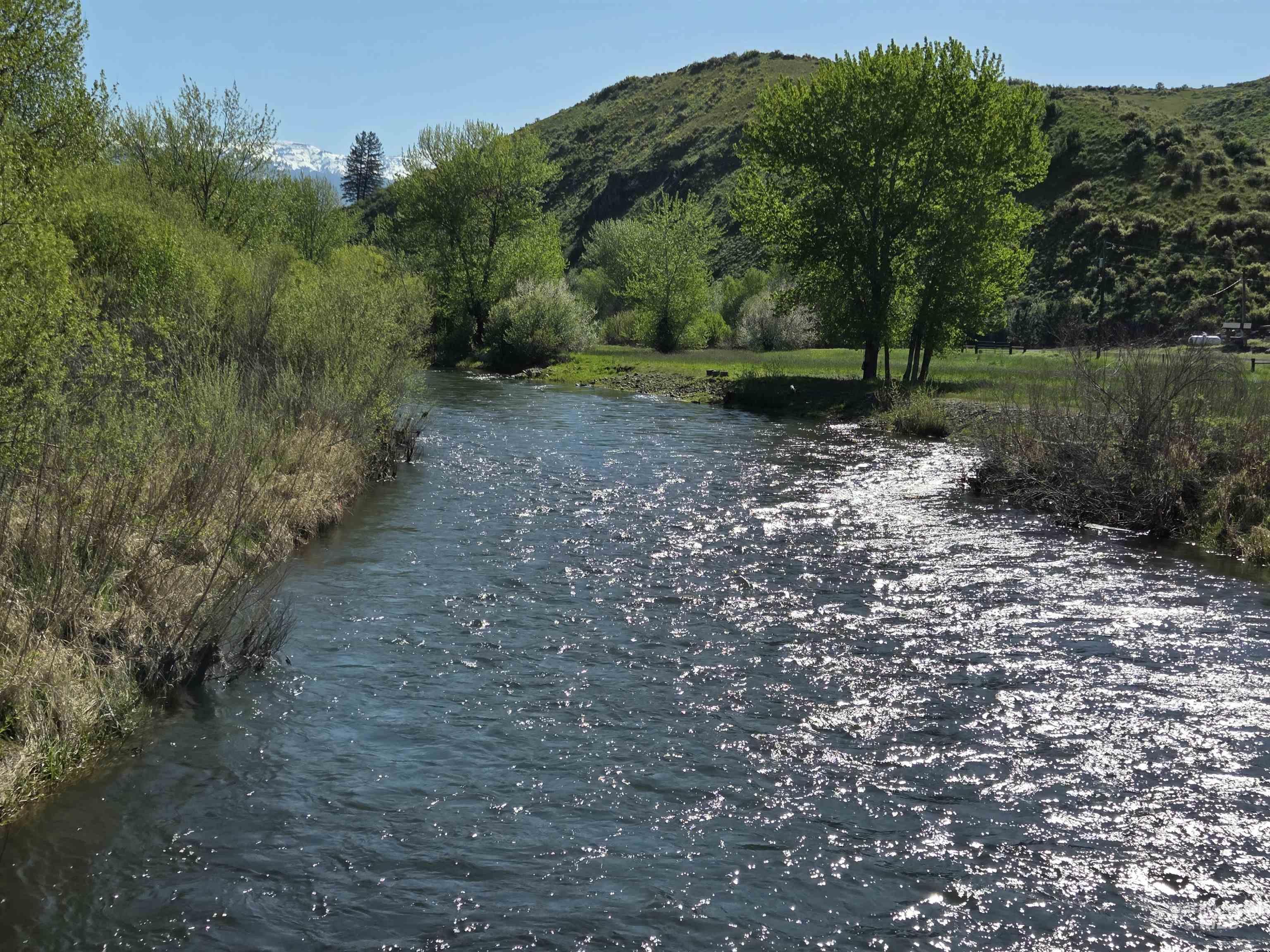 2205 Jackson Creek Rd, Council, Idaho 83612, 4 Bedrooms, 2 Bathrooms, Farm & Ranch For Sale, Price $2,599,000,MLS 98996317