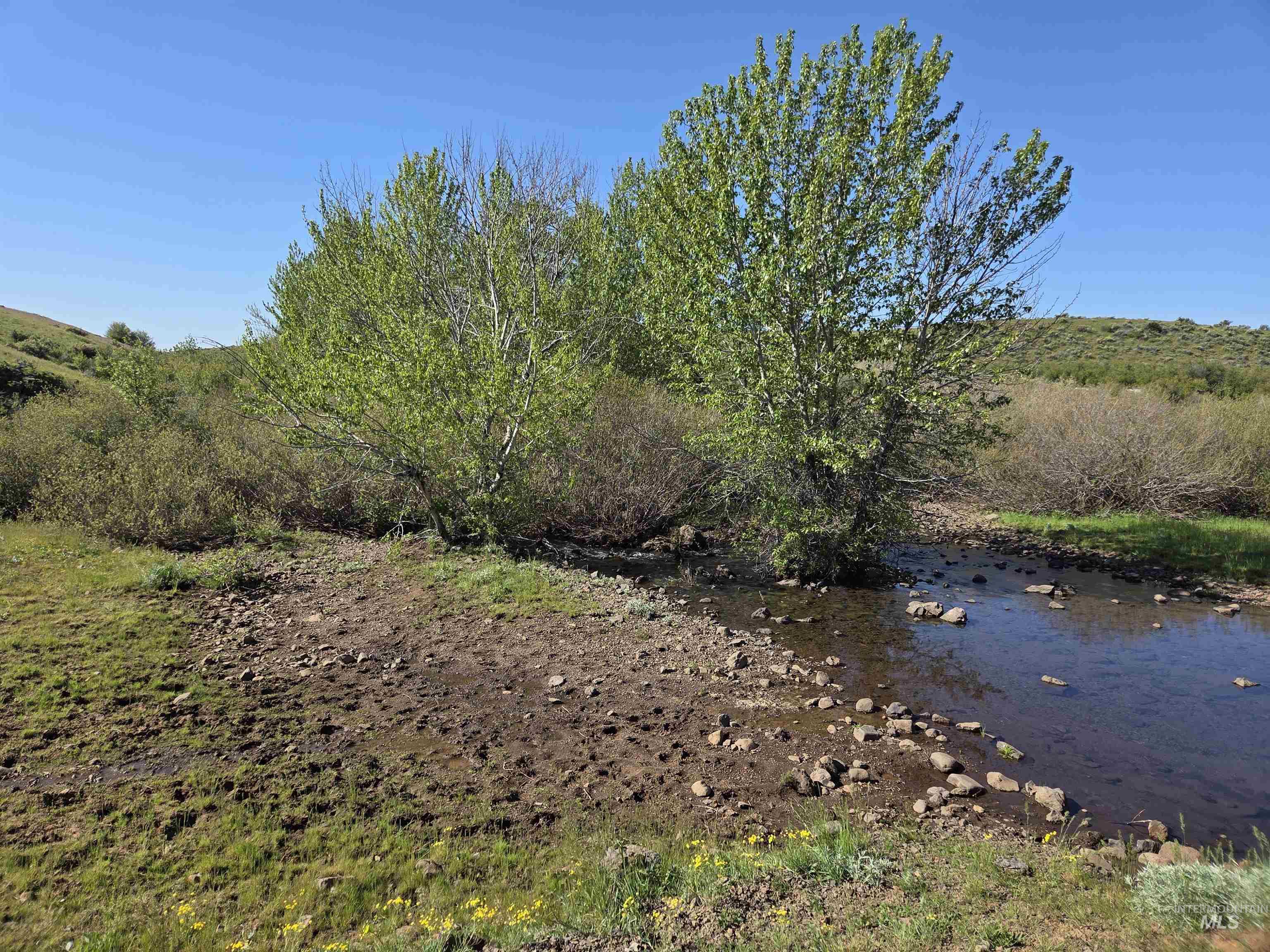 2205 Jackson Creek Rd, Council, Idaho 83612, 4 Bedrooms, 2 Bathrooms, Farm & Ranch For Sale, Price $2,599,000,MLS 98996317