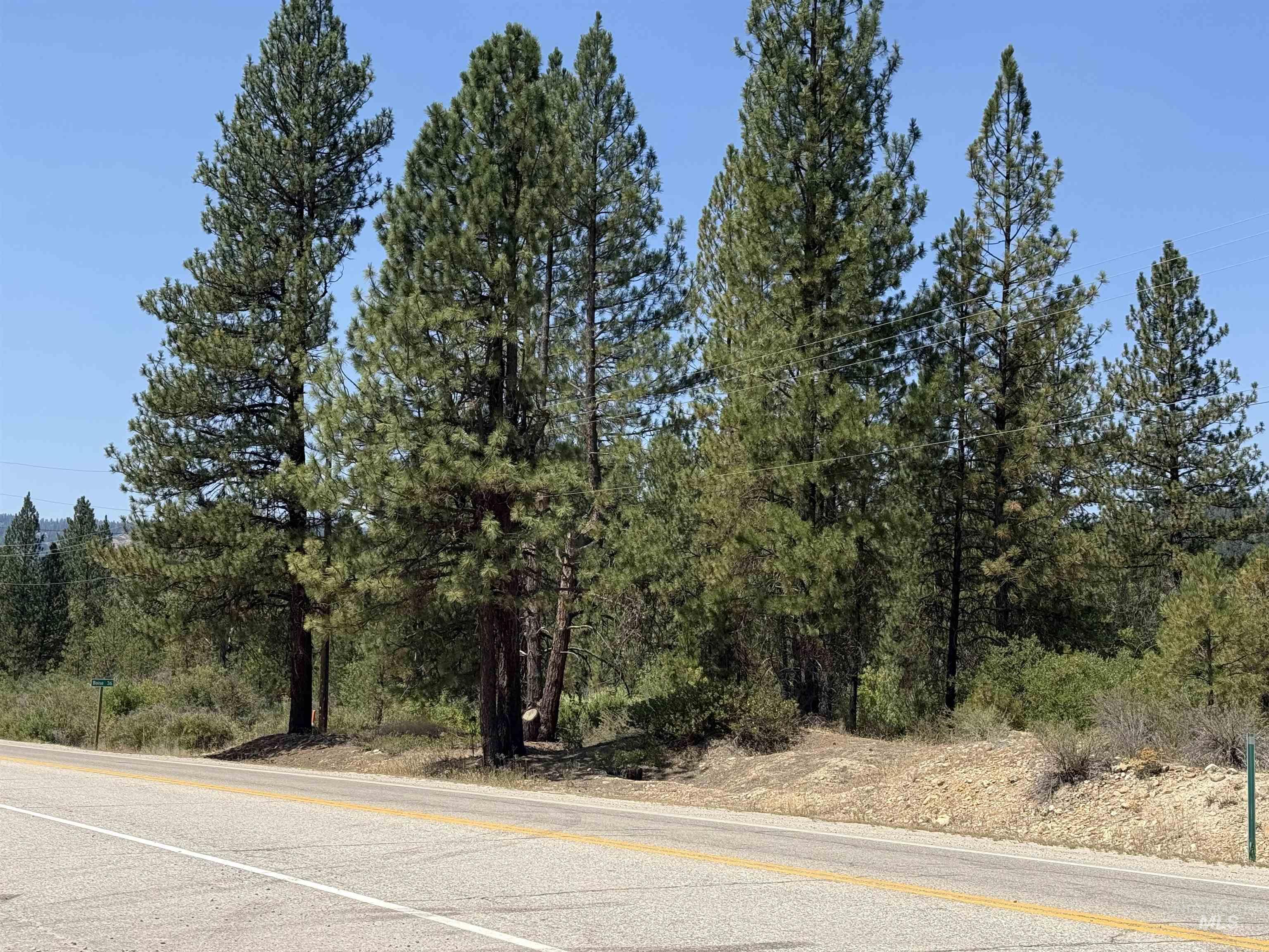 TBD Highway 21, Idaho City, Idaho 83631, Land For Sale, Price $649,000, 98996329