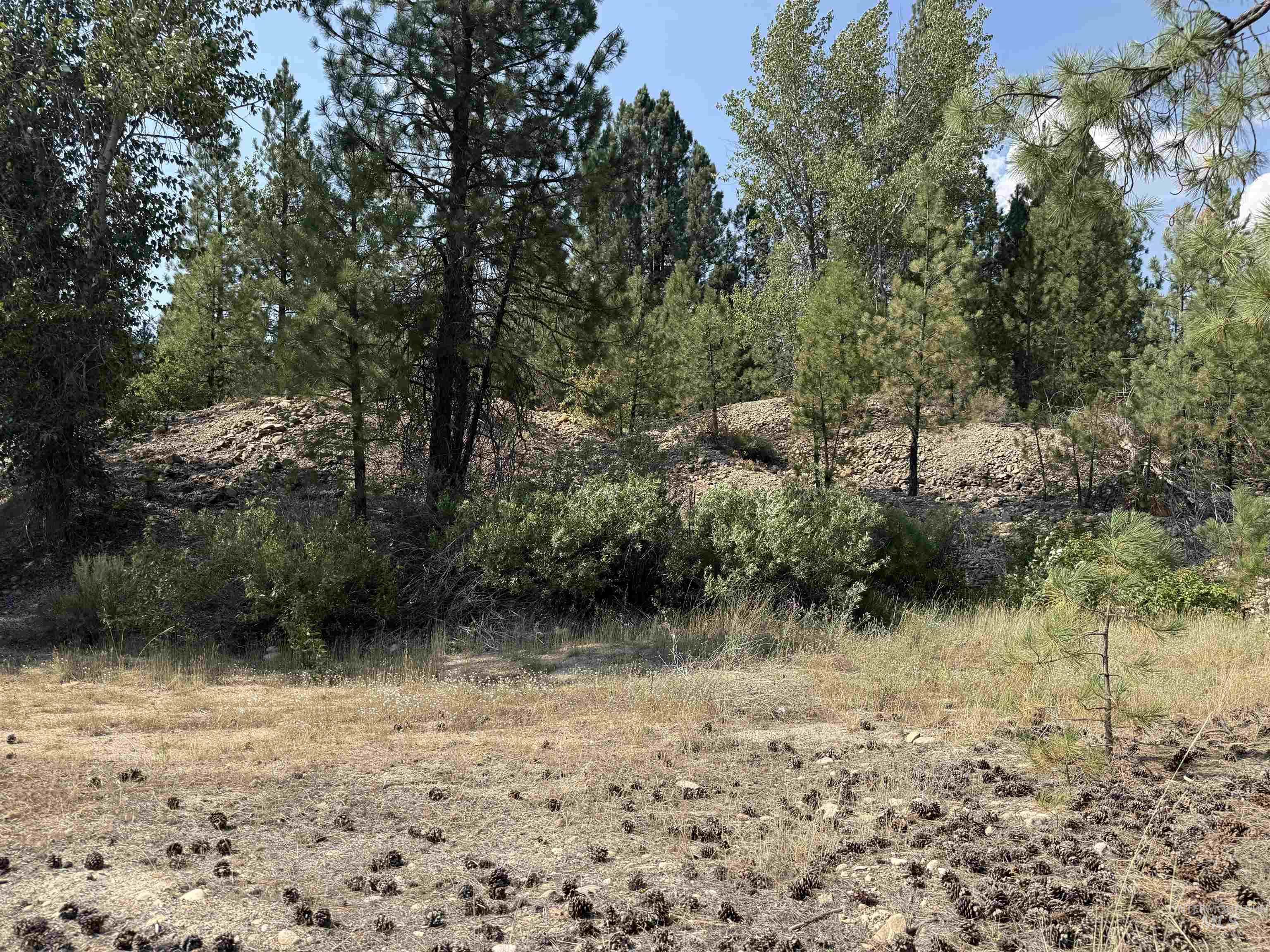 TBD Highway 21, Idaho City, Idaho 83631, Land For Sale, Price $649,000, 98996329