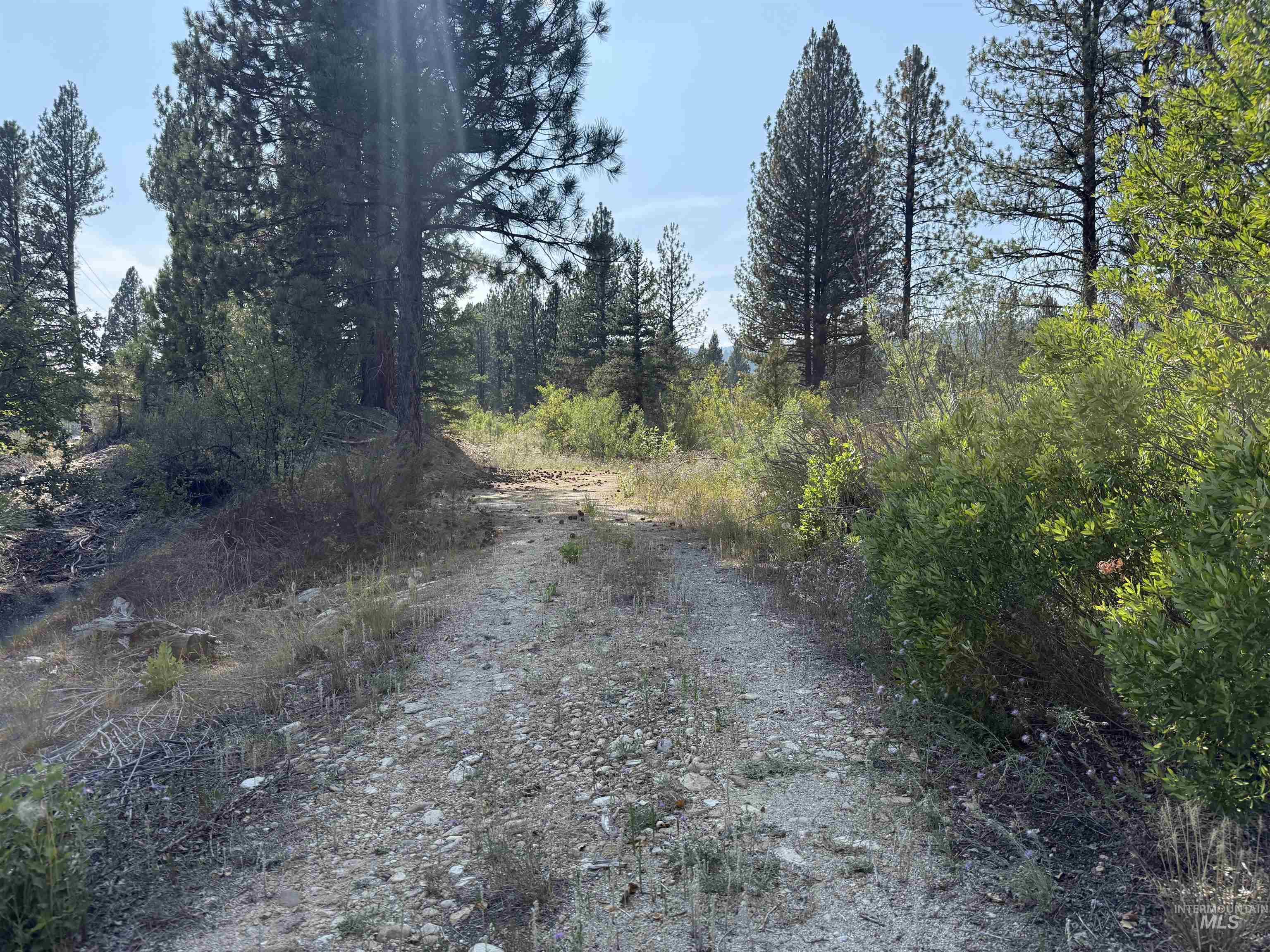 TBD Highway 21, Idaho City, Idaho 83631, Land For Sale, Price $649,000, 98996329