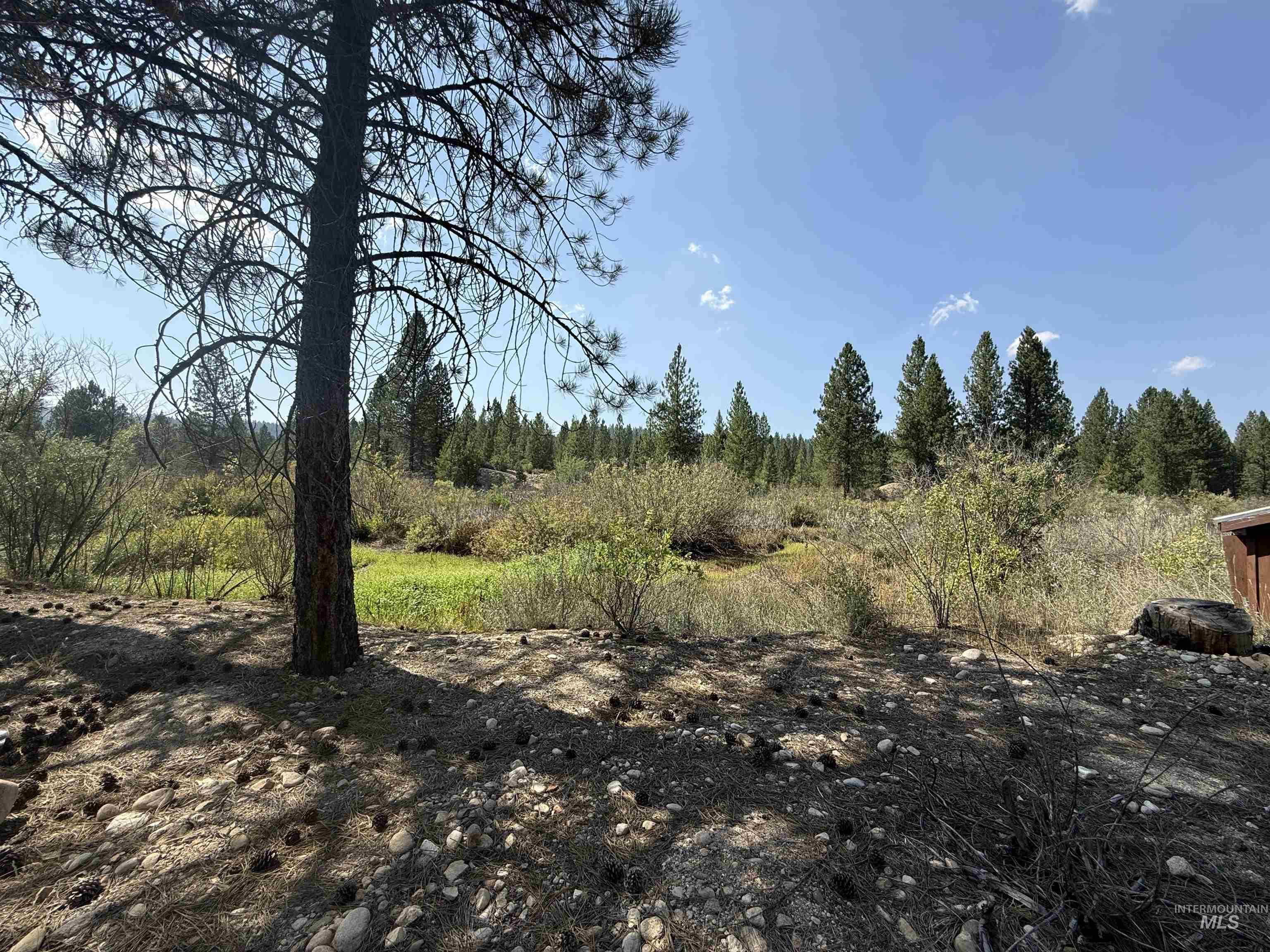 TBD Highway 21, Idaho City, Idaho 83631, Land For Sale, Price $374,900, 98996329