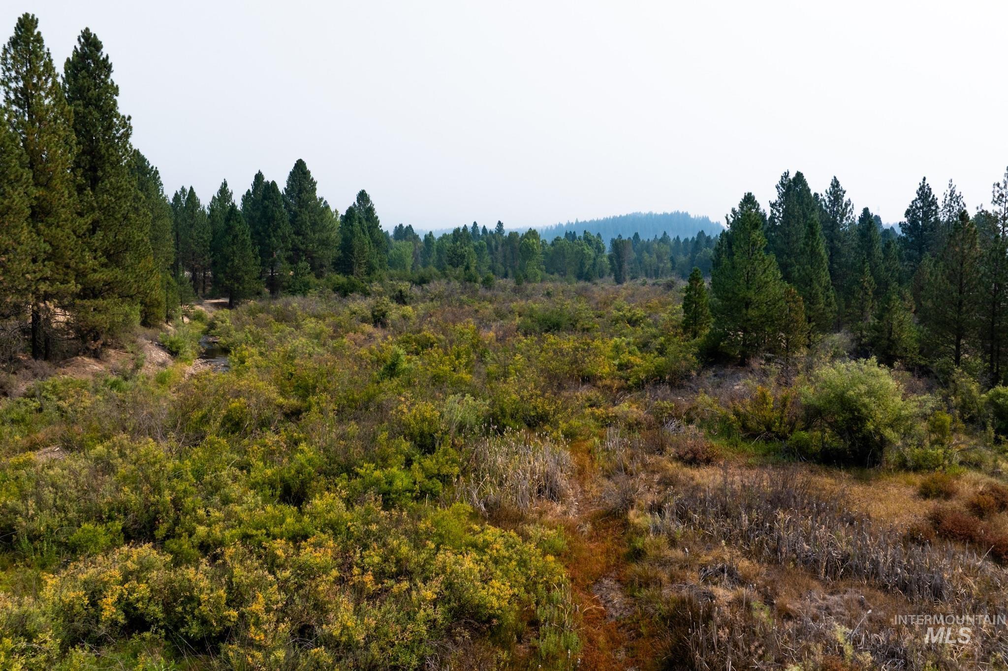 TBD Highway 21, Idaho City, Idaho 83631, Land For Sale, Price $374,900, 98996329