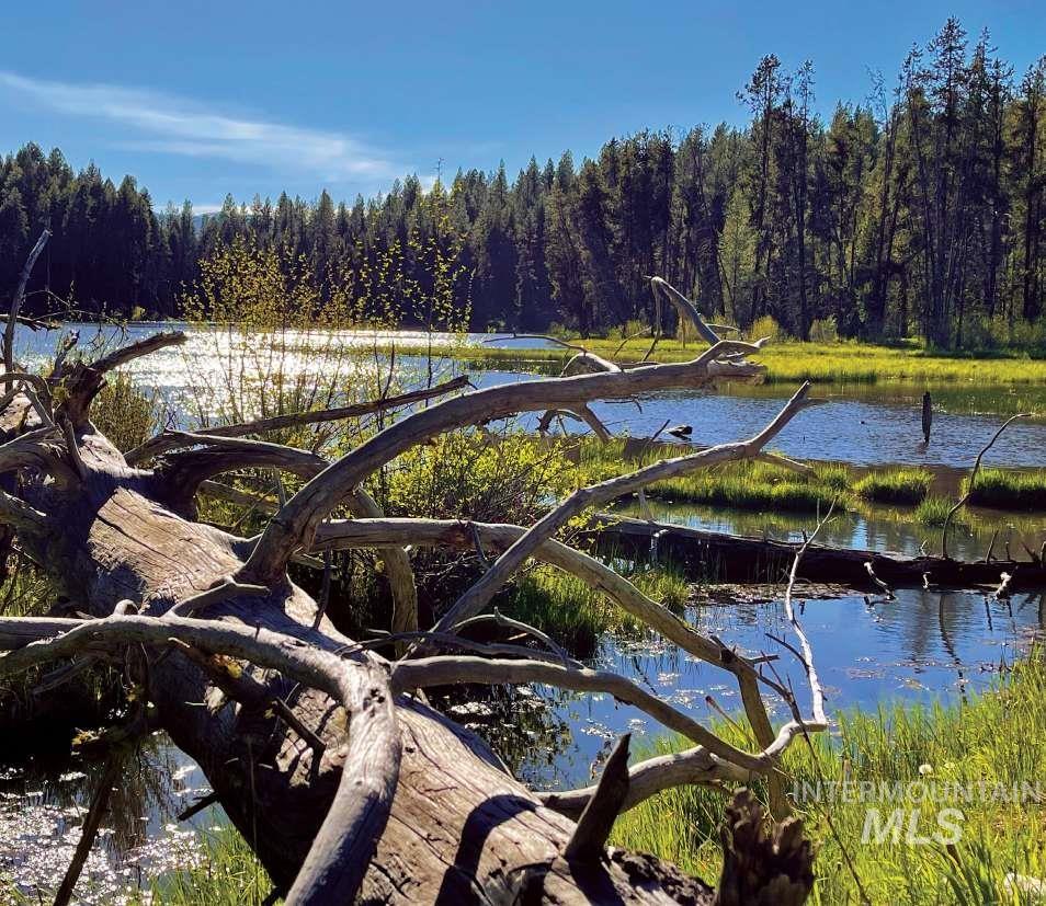 &plusmn;1812 Acres Big Creek Meadows Ranch, Cascade, Idaho 83611, Land For Sale, Price $9,995,000,MLS 98996366