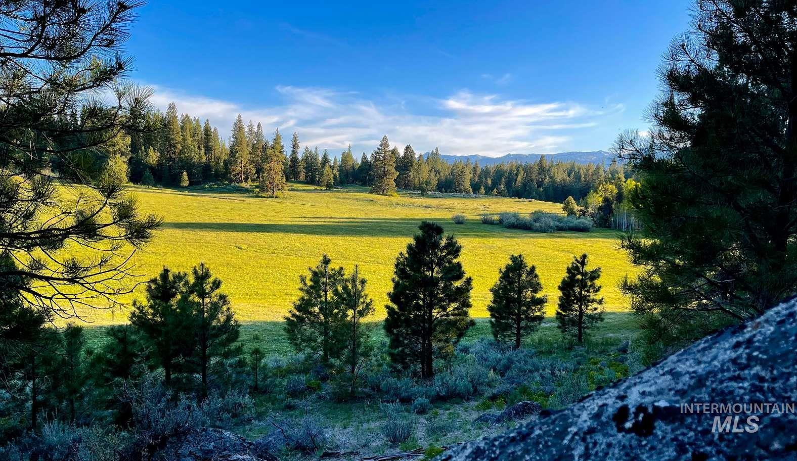 &plusmn;1812 Acres Big Creek Meadows Ranch, Cascade, Idaho 83611, Land For Sale, Price $9,995,000,MLS 98996366
