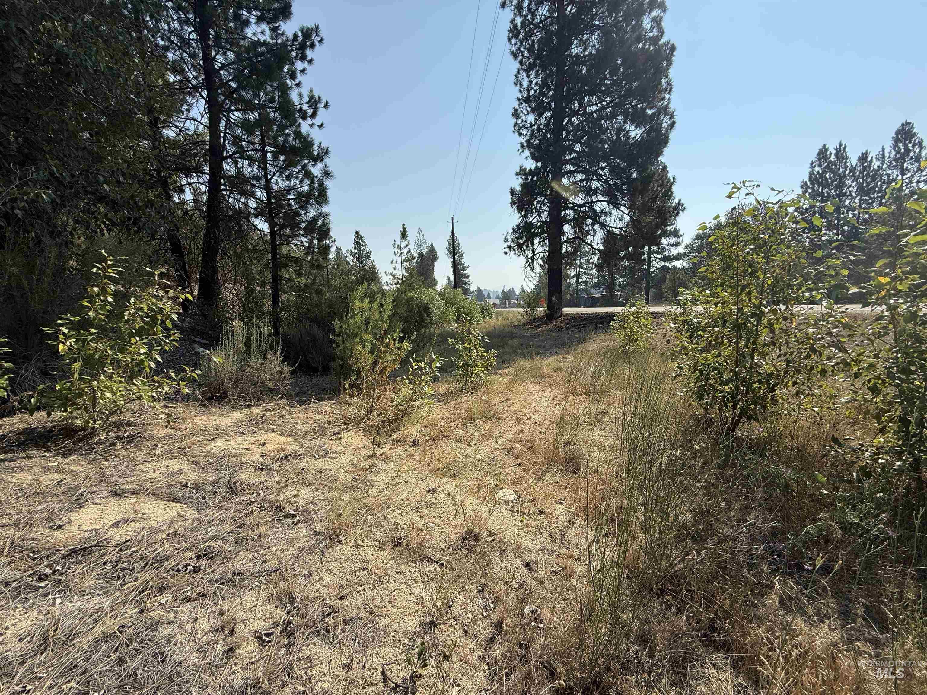 TBD Highway 21, Idaho City, Idaho 83631, Land For Sale, Price $649,000, 98996372