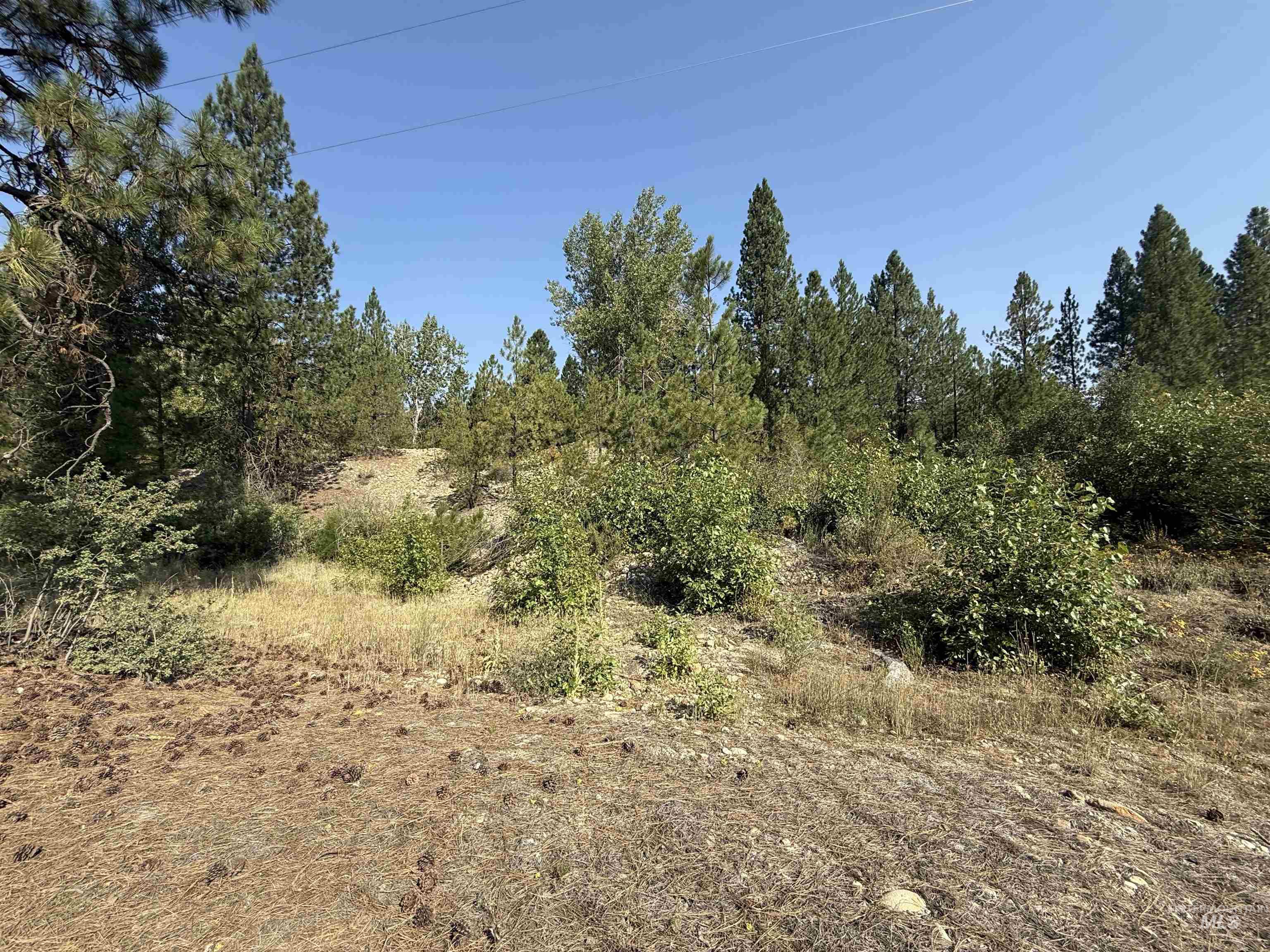 TBD Highway 21, Idaho City, Idaho 83631, Land For Sale, Price $649,000, 98996372