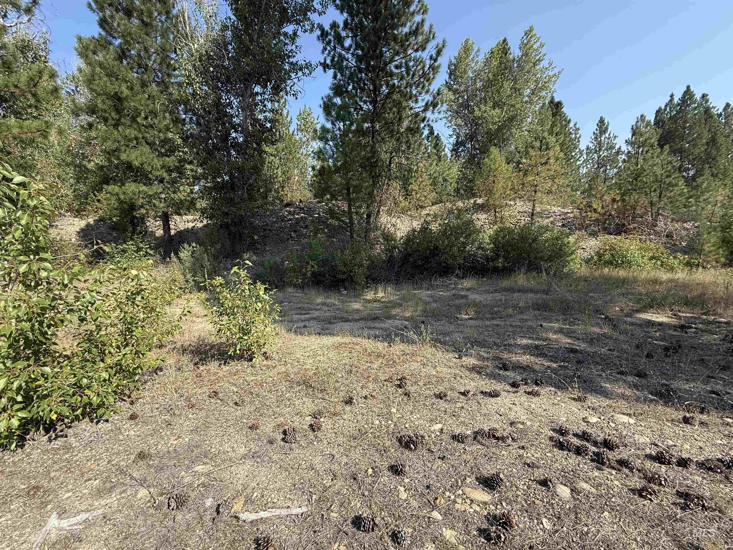 TBD Highway 21, Idaho City, Idaho 83631, Land For Sale, Price $649,000, 98996372