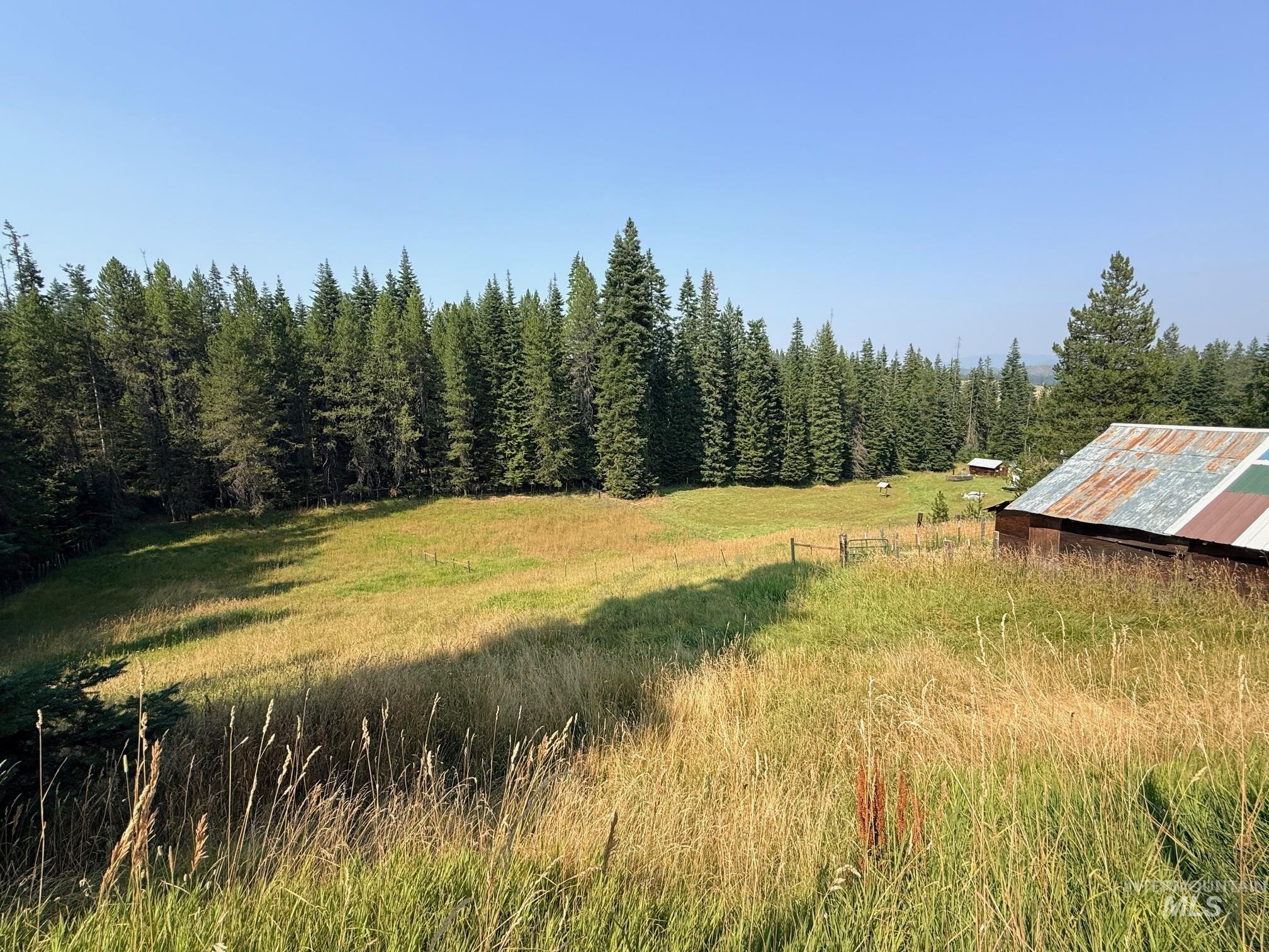 126 Aitken Rd, Weippe, Idaho 83553, 4 Bedrooms, 1 Bathroom, Residential For Sale, Price $310,000, 98996398