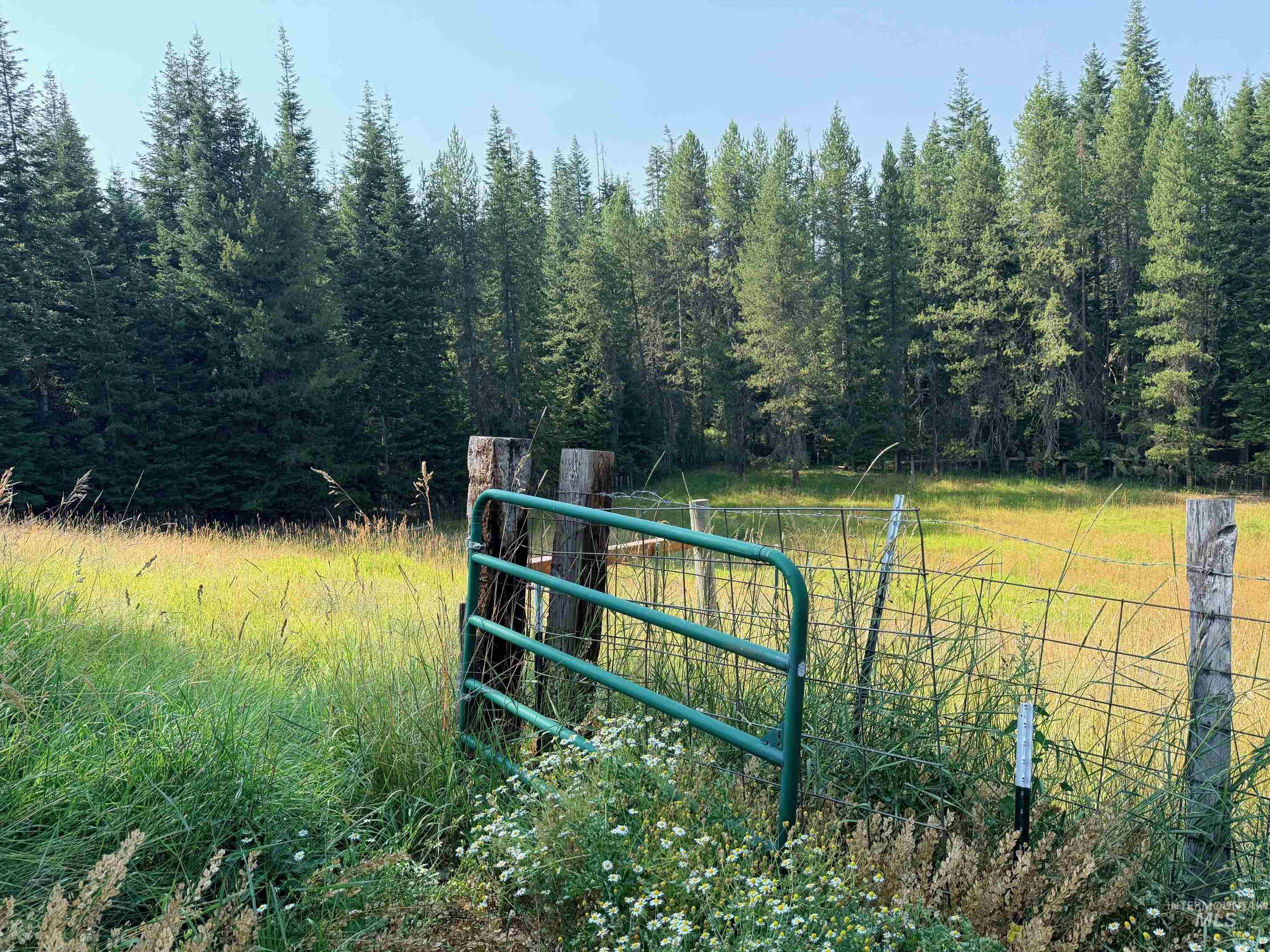 126 Aitken Rd, Weippe, Idaho 83553, 4 Bedrooms, 1 Bathroom, Residential For Sale, Price $310,000, 98996398