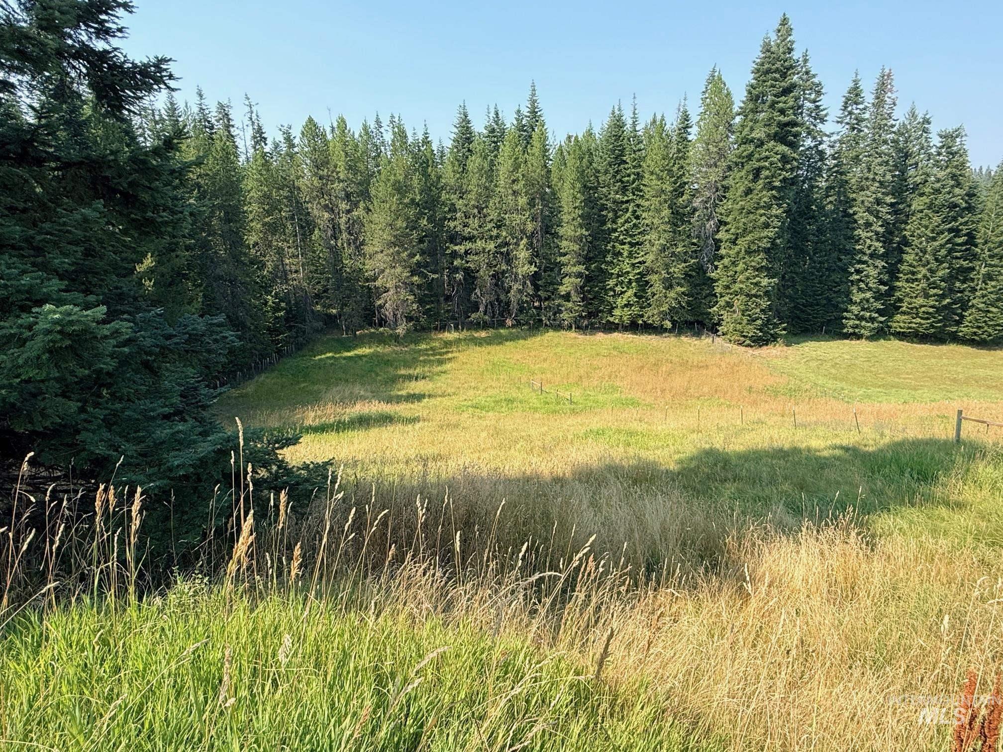 126 Aitken Rd, Weippe, Idaho 83553, 4 Bedrooms, 1 Bathroom, Residential For Sale, Price $310,000, 98996398
