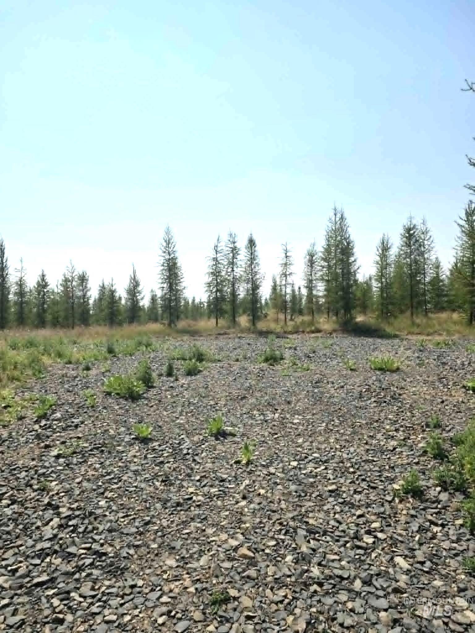 333 Wildwood Drive, Orofino, Idaho 83544, Land For Sale, Price $135,000, 98996438