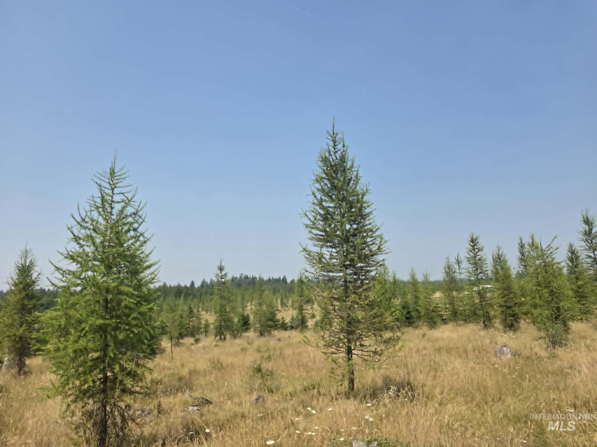 333 Wildwood Drive, Orofino, Idaho 83544, Land For Sale, Price $135,000, 98996438