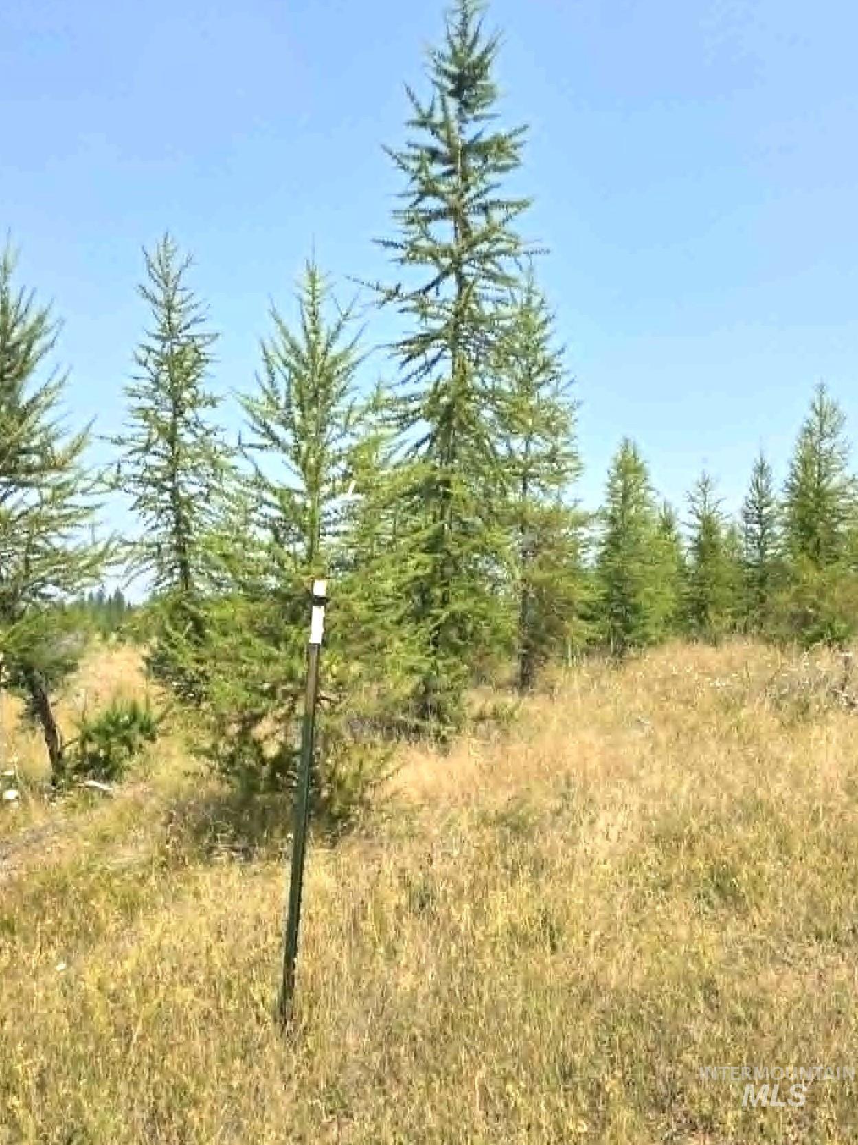 333 Wildwood Drive, Orofino, Idaho 83544, Land For Sale, Price $135,000, 98996438