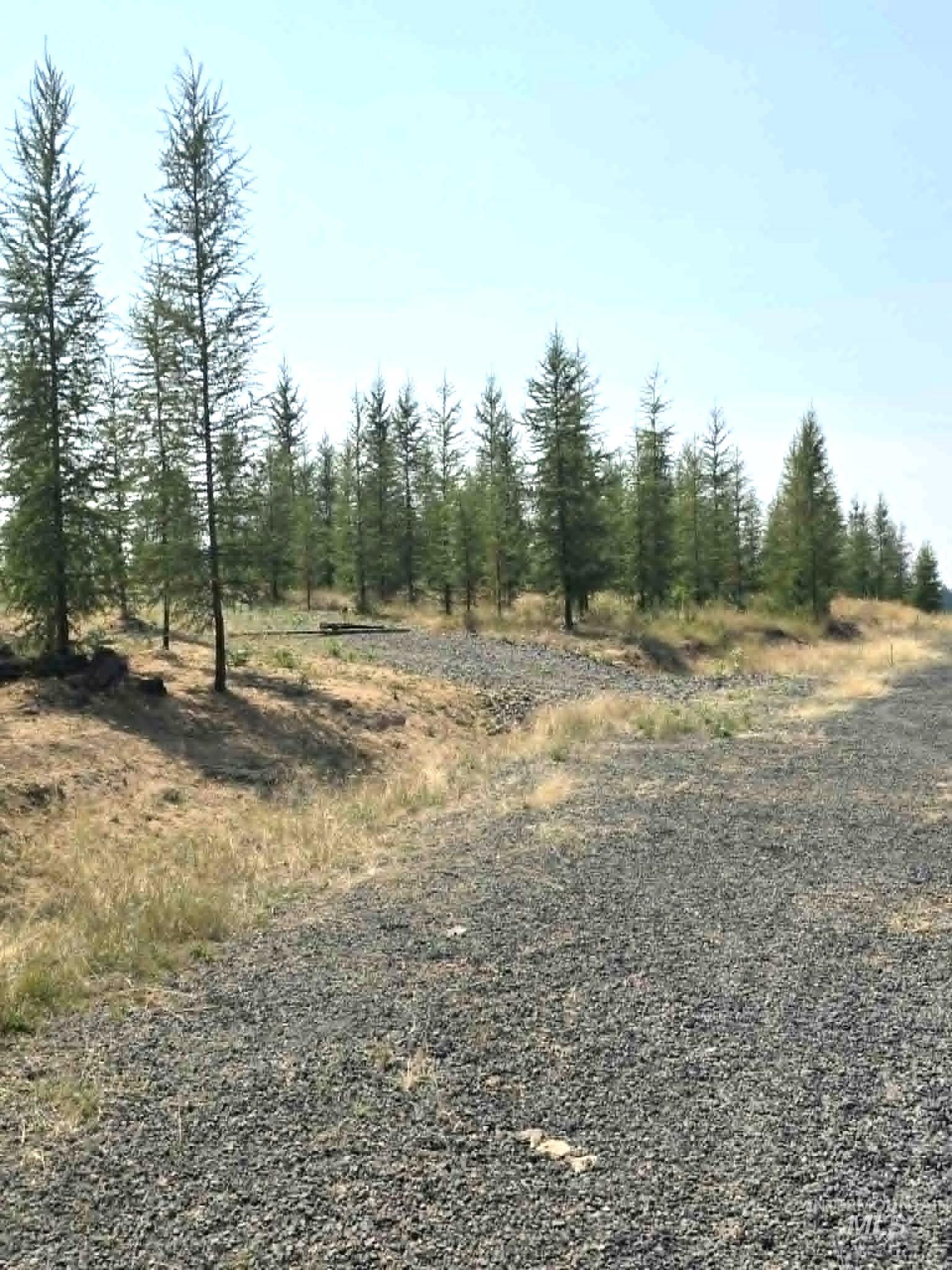 333 Wildwood Drive, Orofino, Idaho 83544, Land For Sale, Price $135,000, 98996438