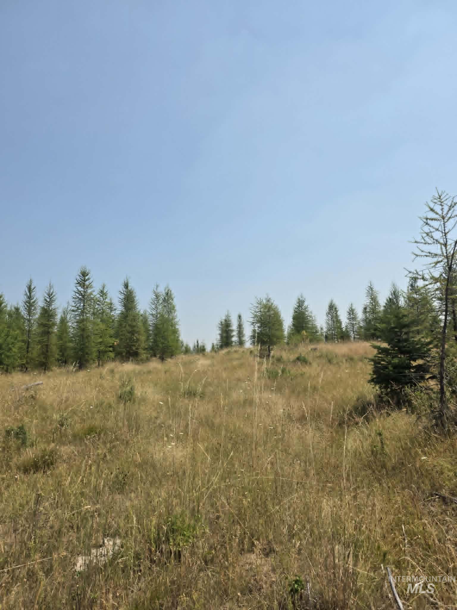 333 Wildwood Drive, Orofino, Idaho 83544, Land For Sale, Price $135,000, 98996438