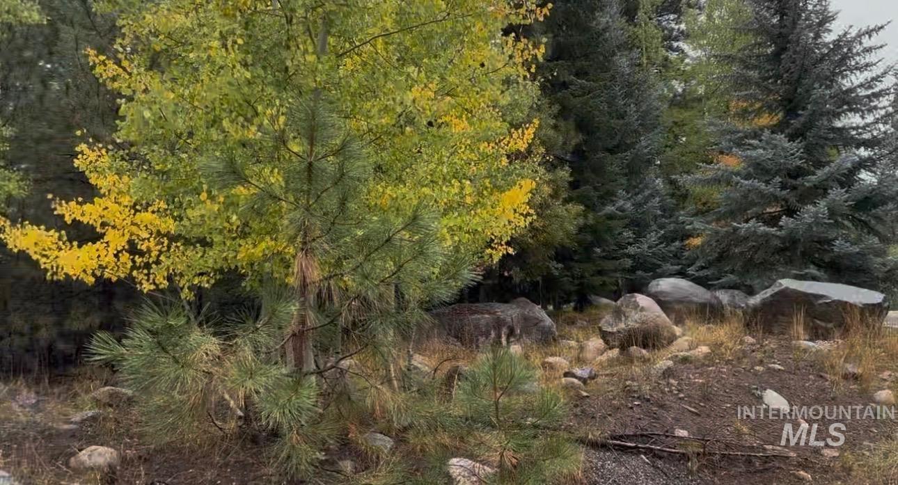 TBD Heavens Gate Ct., McCall, Idaho 83638, Land For Sale, Price $395,000,MLS 98996459