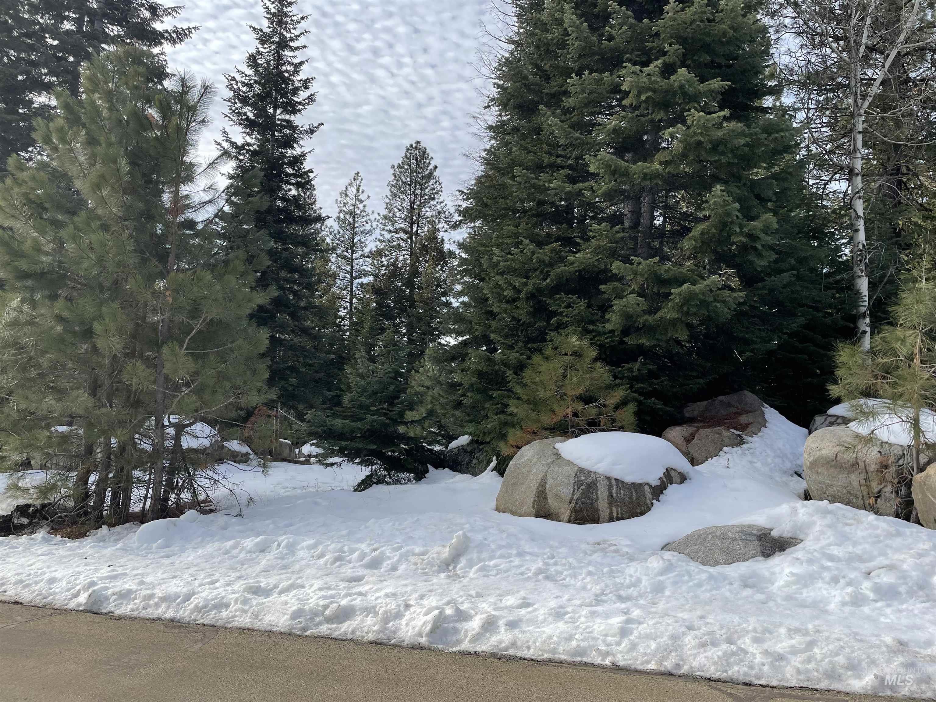 TBD Heavens Gate Ct., McCall, Idaho 83638, Land For Sale, Price $395,000,MLS 98996459