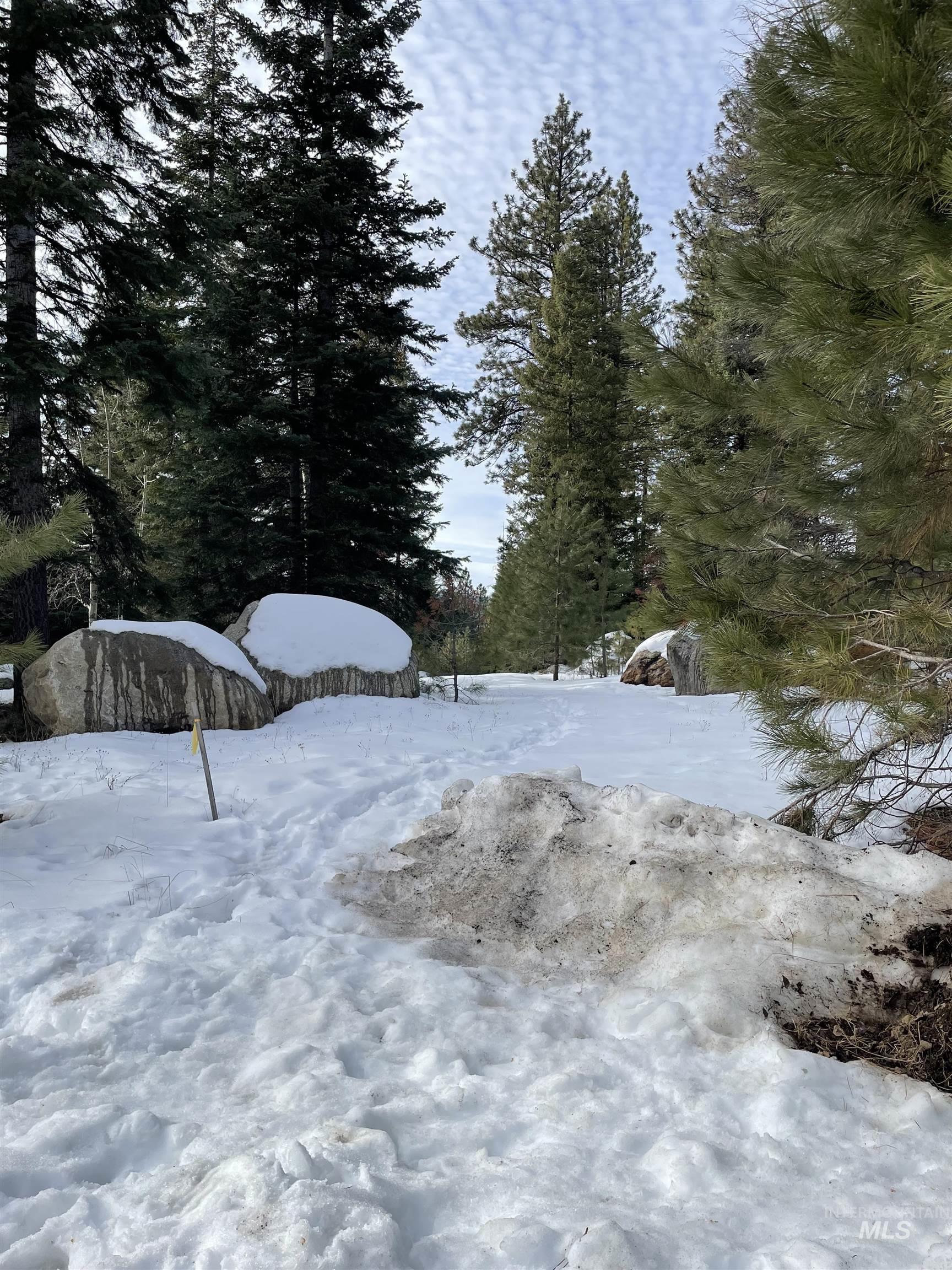 TBD Heavens Gate Ct., McCall, Idaho 83638, Land For Sale, Price $395,000,MLS 98996459