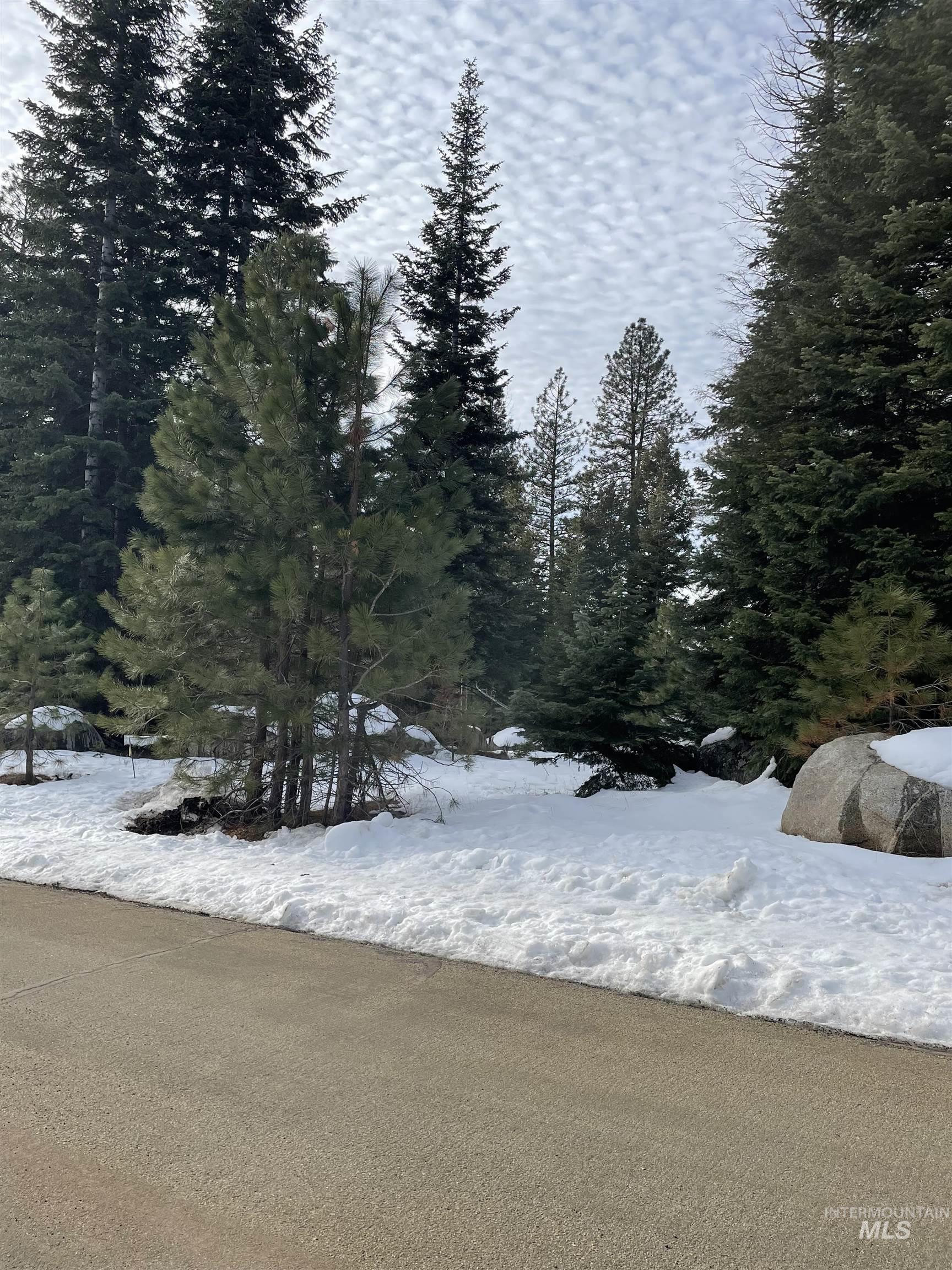 TBD Heavens Gate Ct., McCall, Idaho 83638, Land For Sale, Price $395,000,MLS 98996459