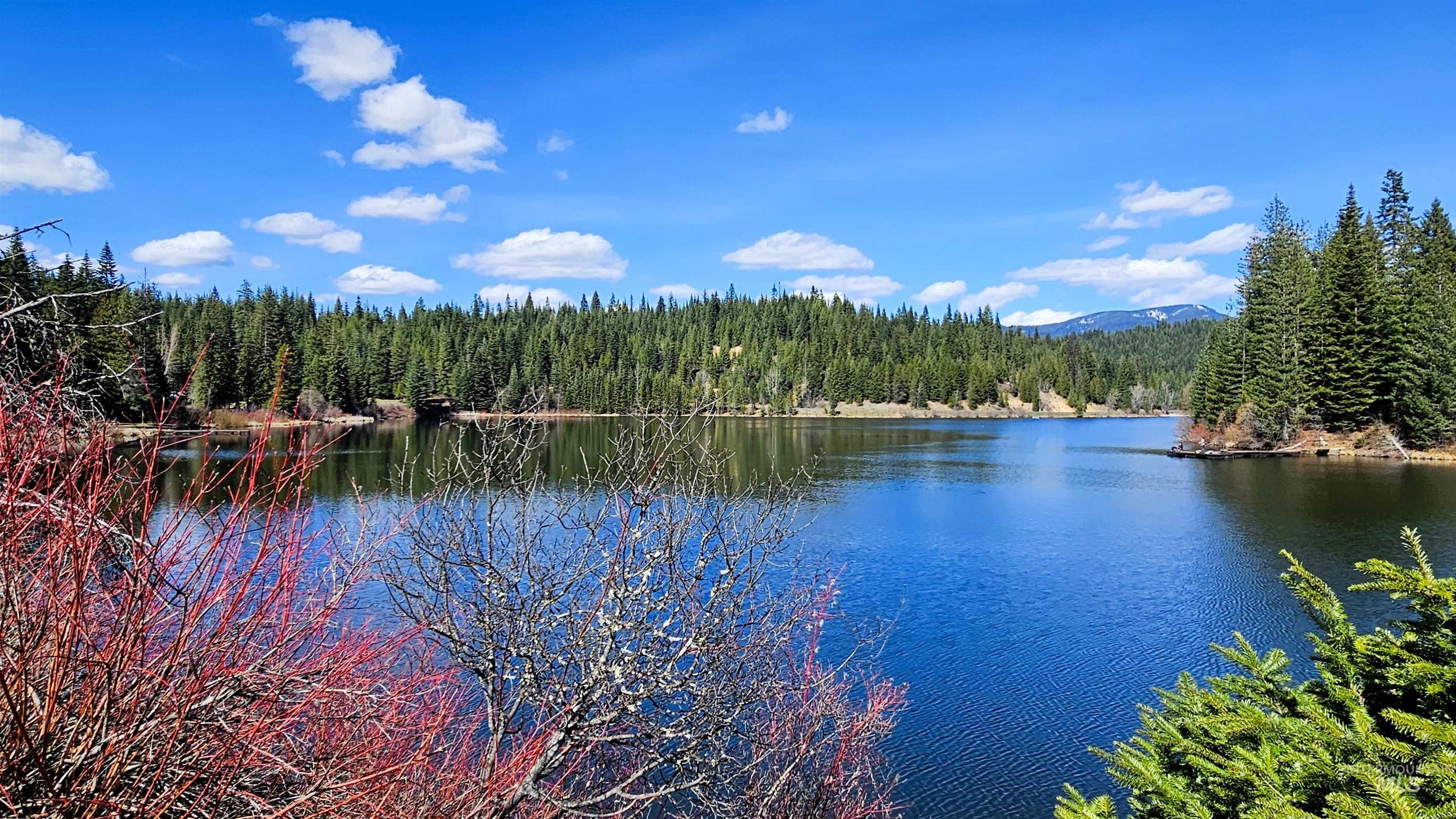 210 S 2nd St, Elk River, Idaho 83827, 4 Bedrooms, 1.5 Bathrooms, Residential For Sale, Price $349,000,MLS 98996520
